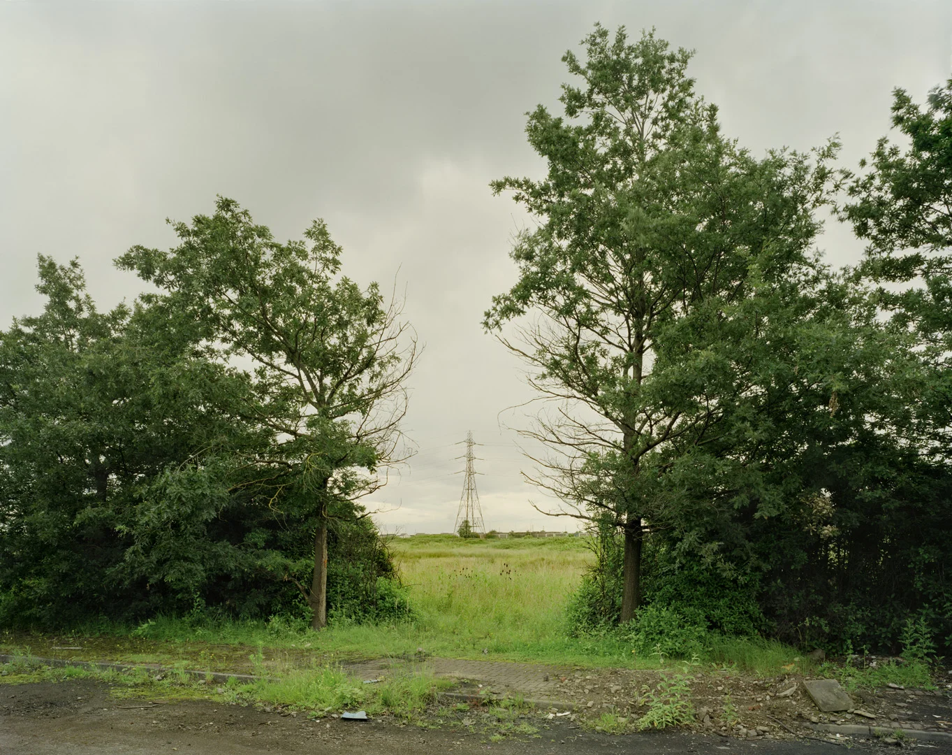 RAF I, 2012