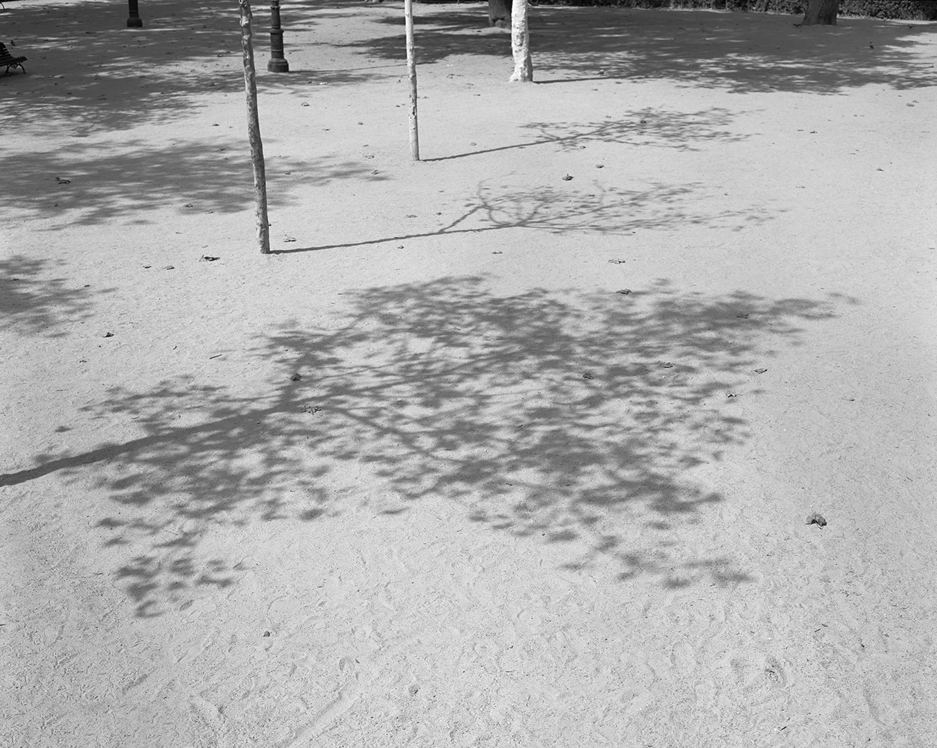 Shadow, 2014