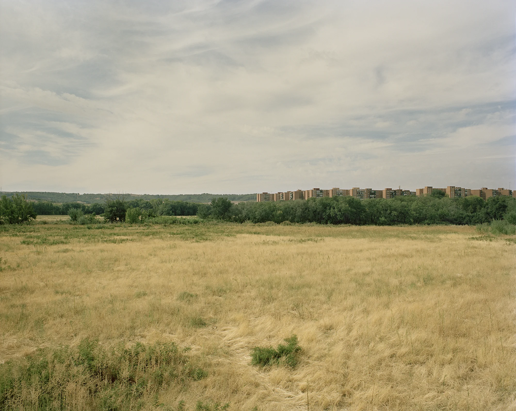 Citadel Home Screen Image.jpg