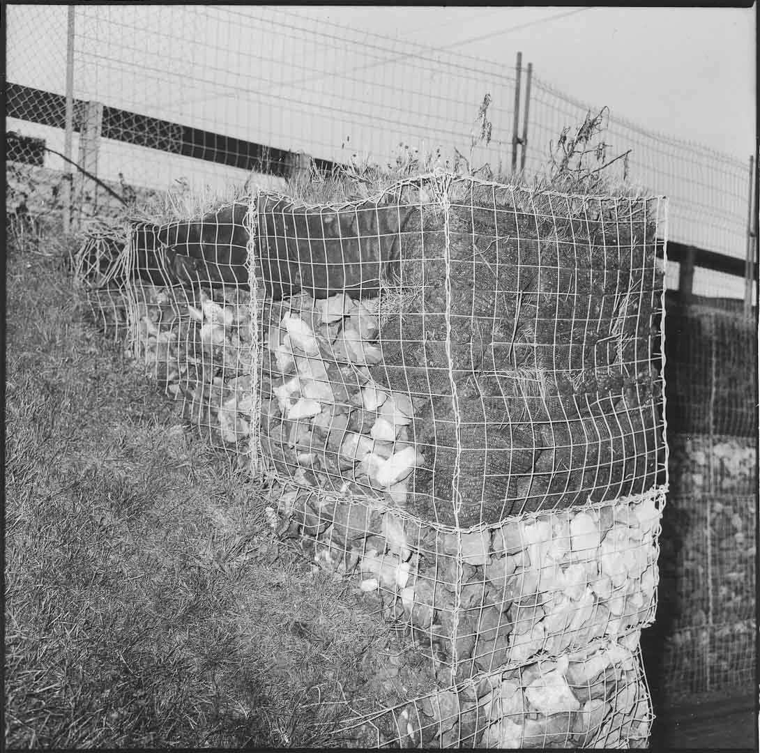 Untitled, 1999