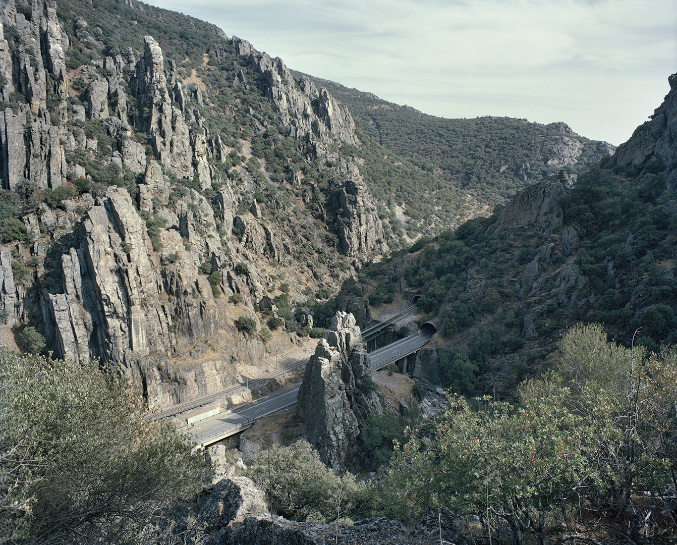 Gorge of Throwing Over the Dogs, 2015