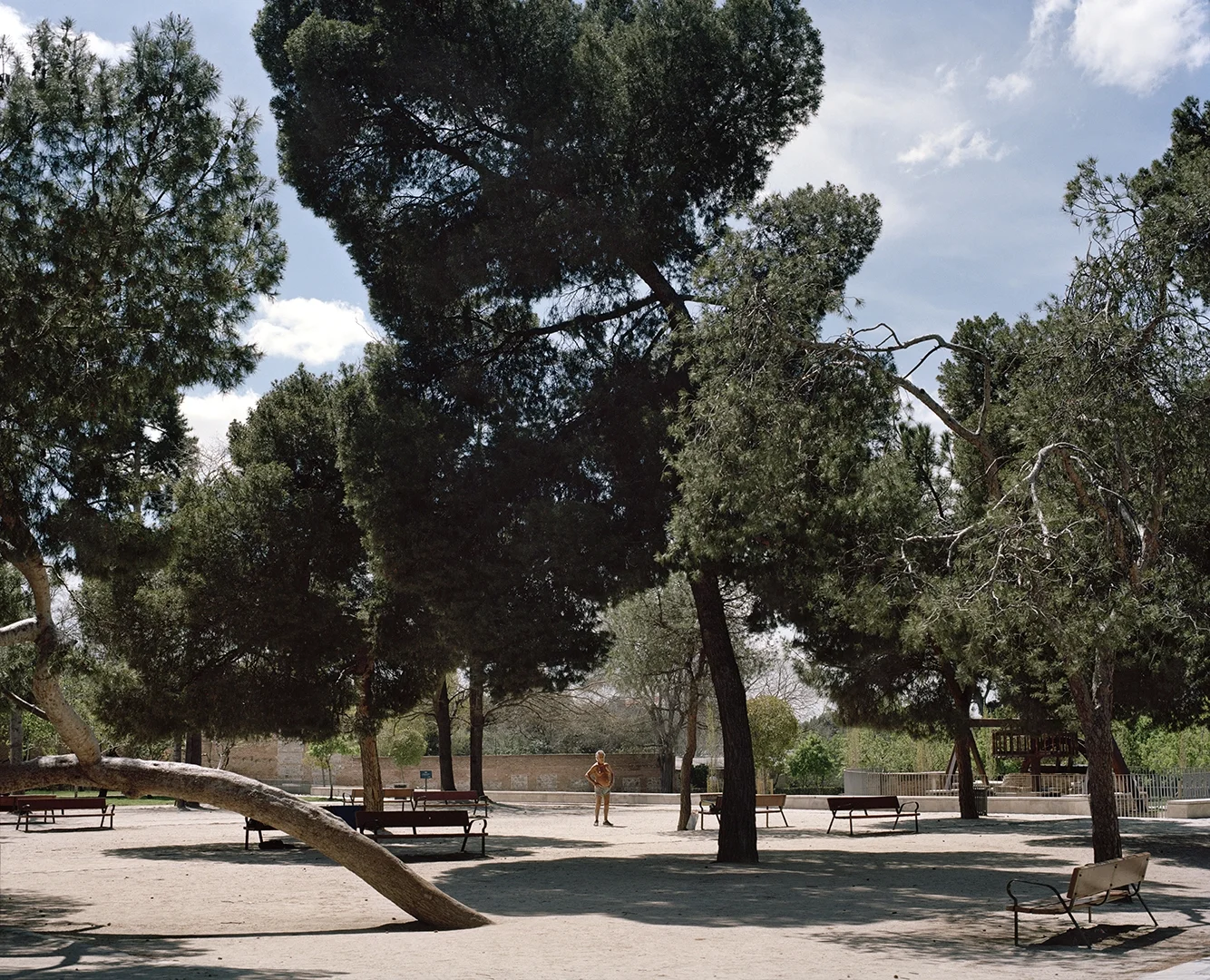 Parque de El Retiro, 2016