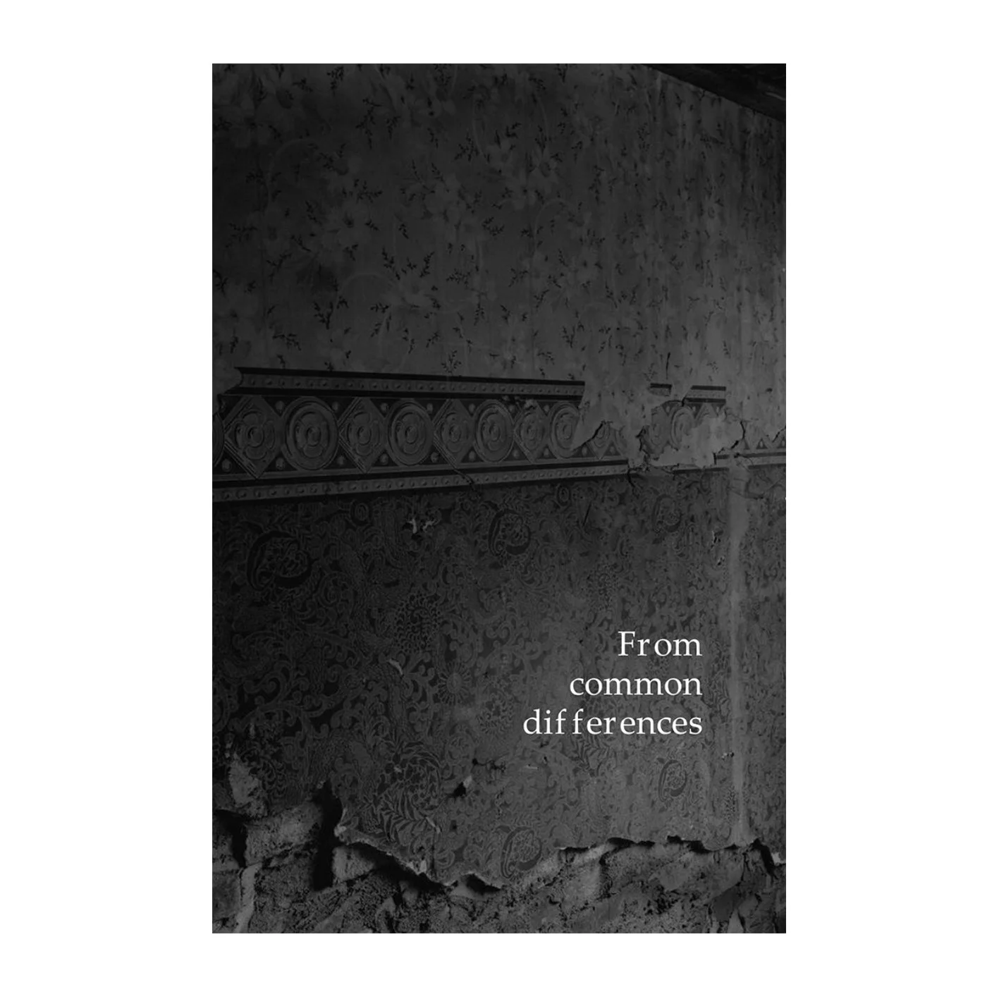 From Common Differences copy.jpg
