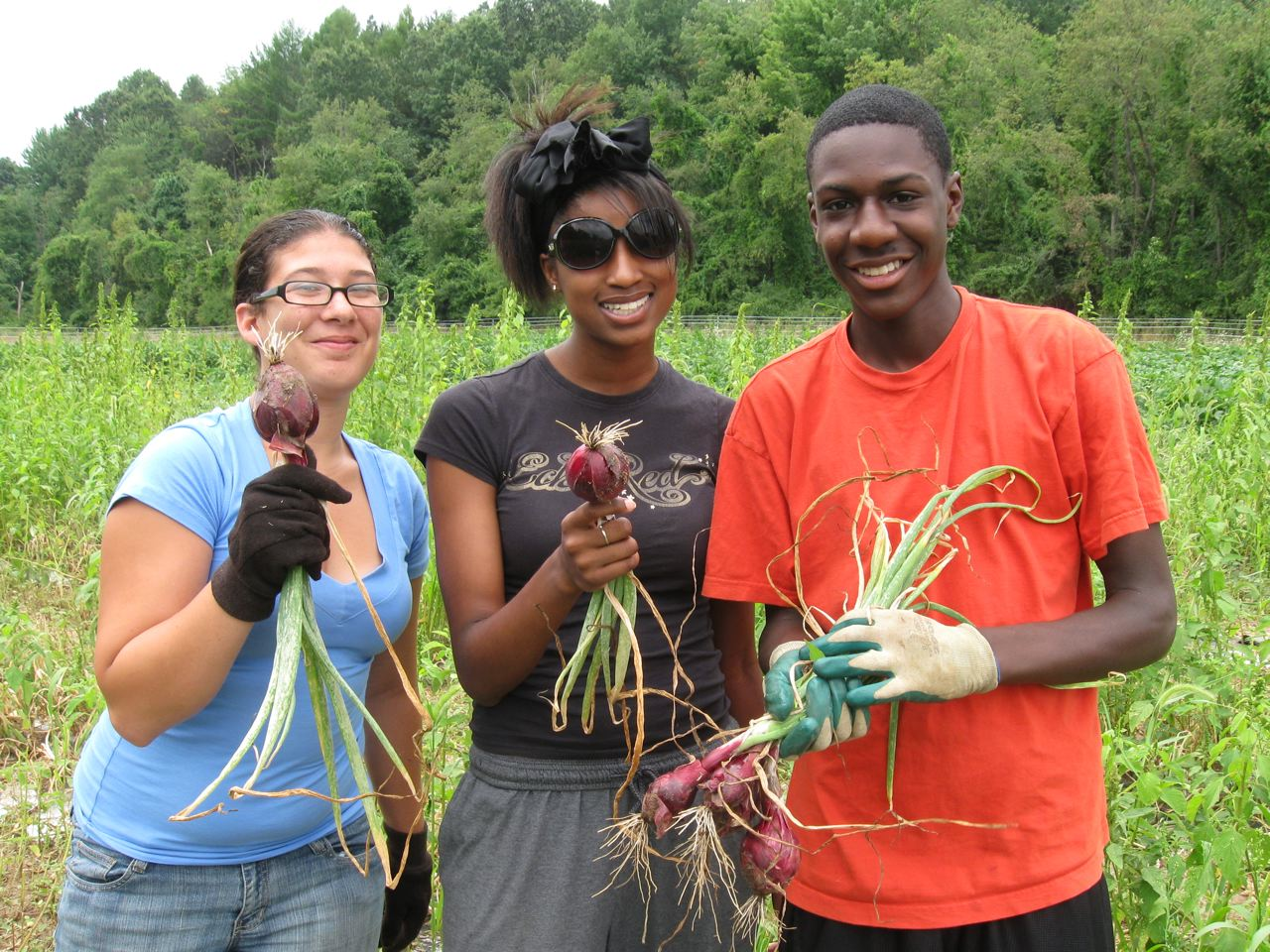 farm_visit_onions_GT.png