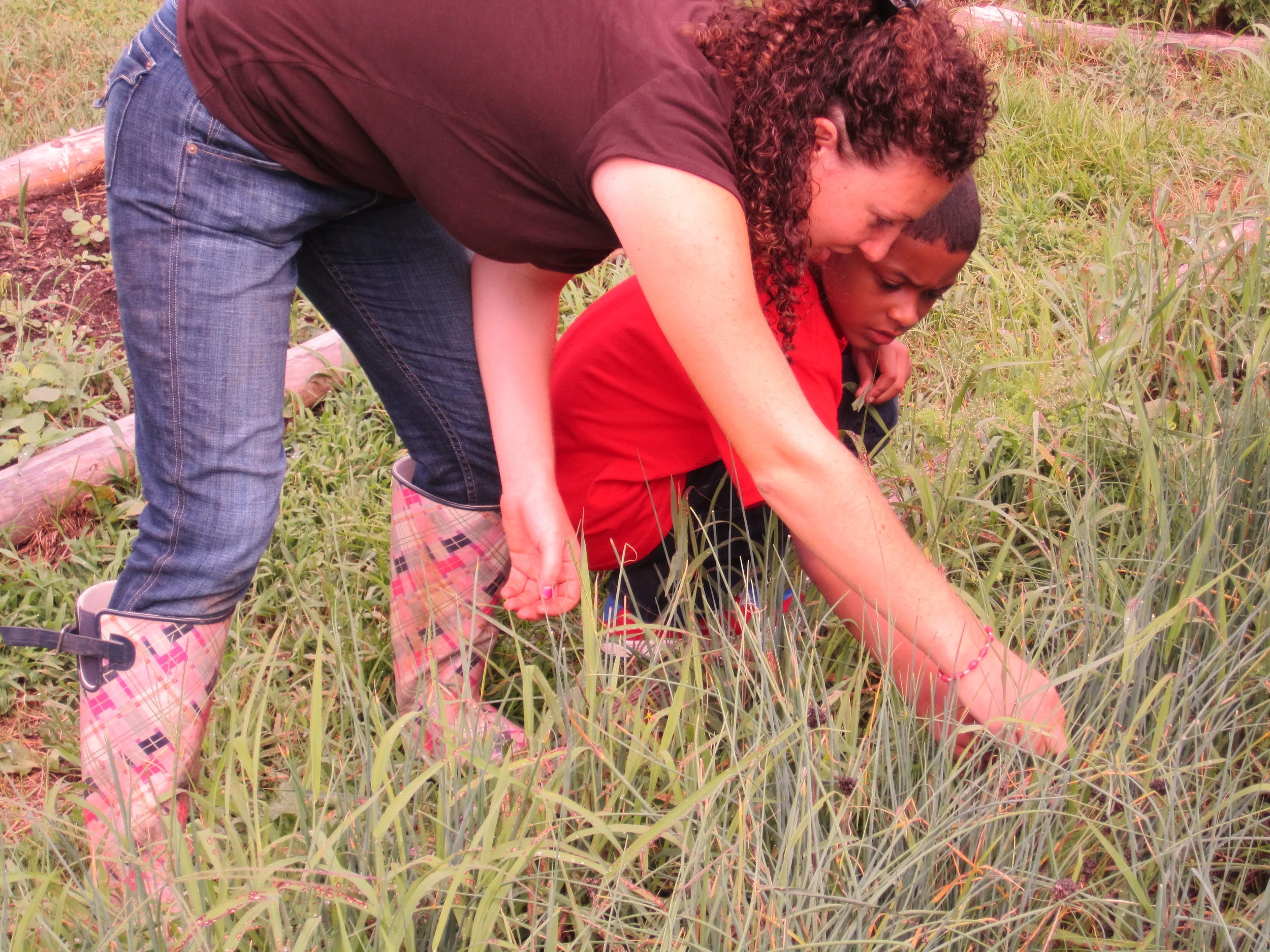 Youth Grow During Summer Farm Visits