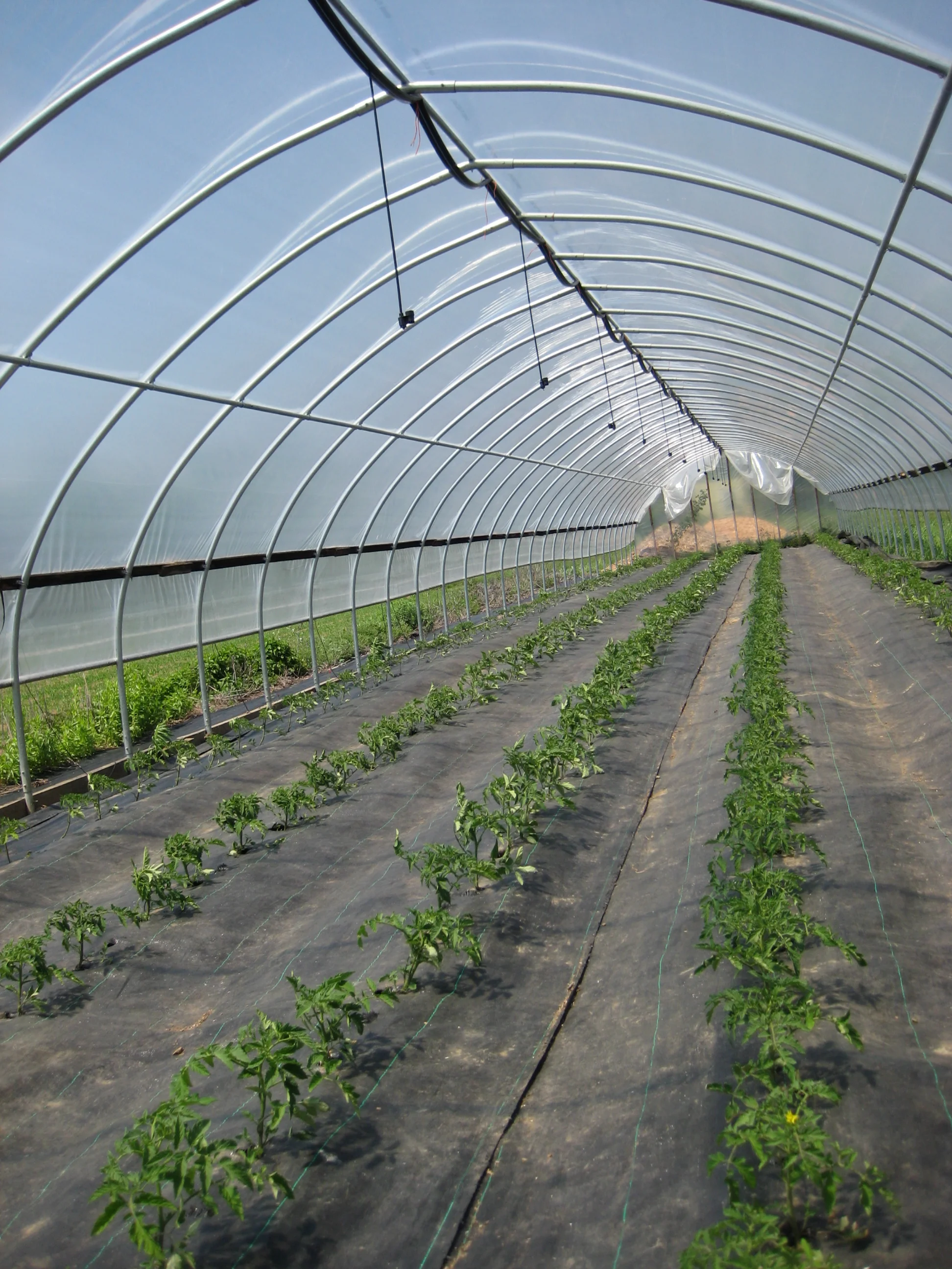 7 Ways Poughkeepsie Farm Project is Better Than Ever!