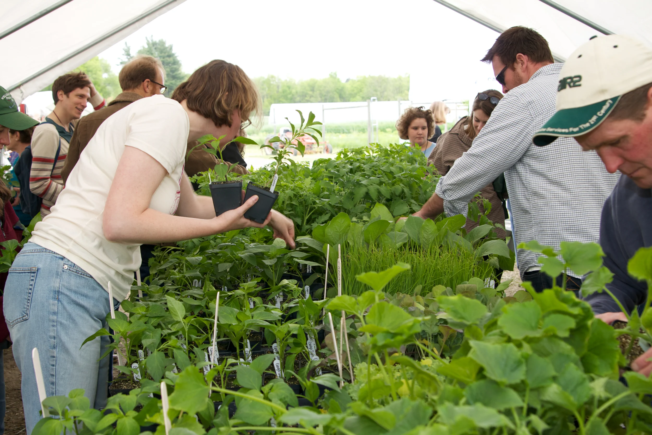 Happy Plant Sale and Open Farm!