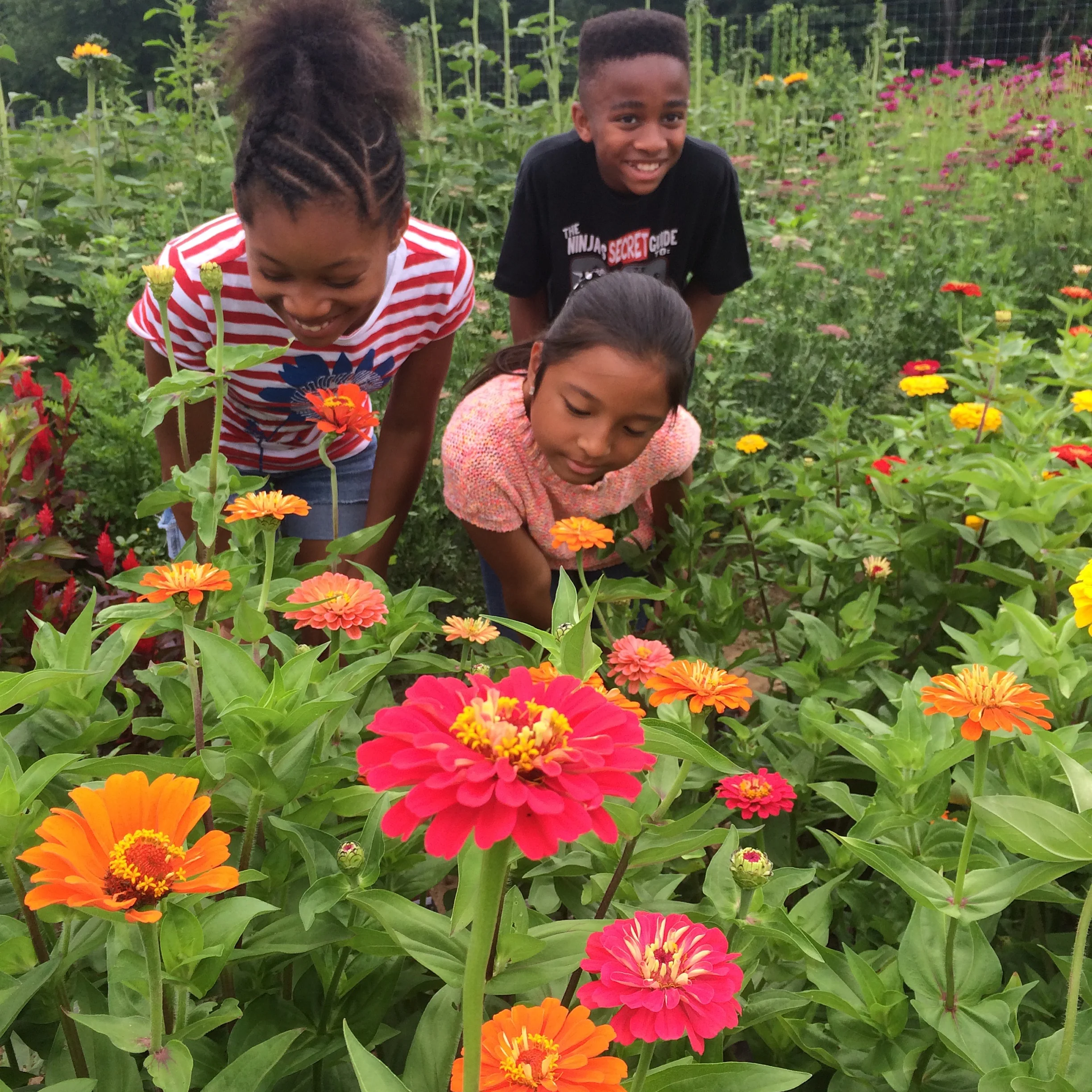 How to: Pick Your Own (PYO) for Shareholders