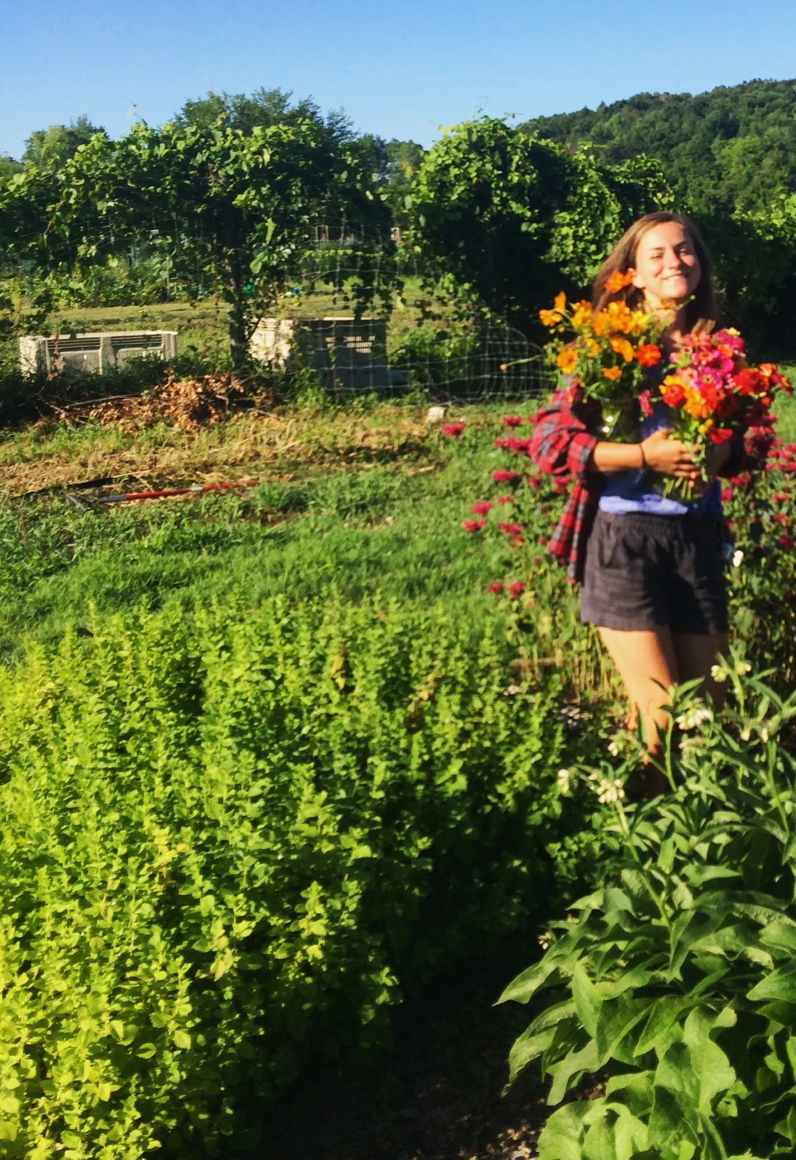 Staff Highlight: Ellie Limpert, Education Manager