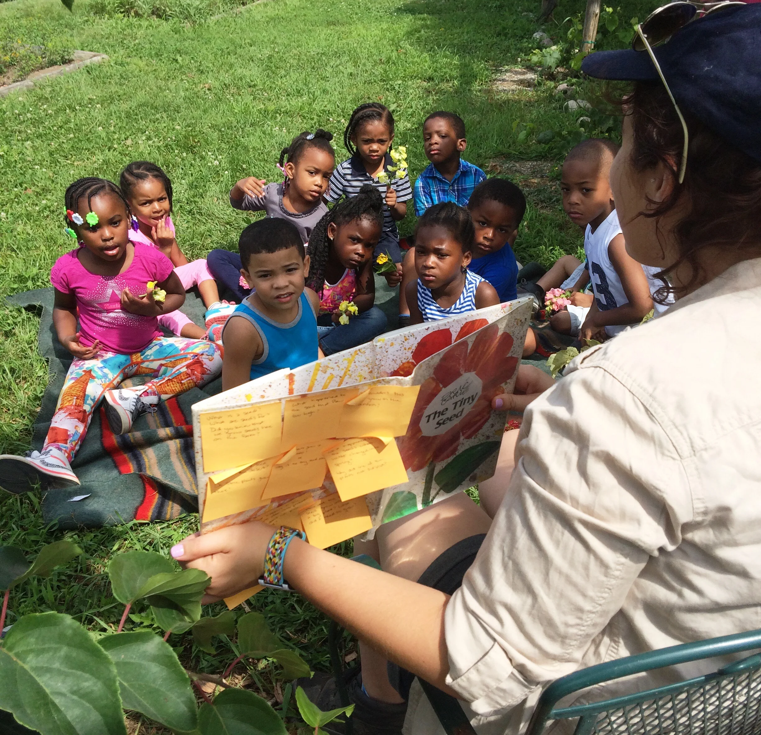 Help PFP's Education Department Grow its Resource Library