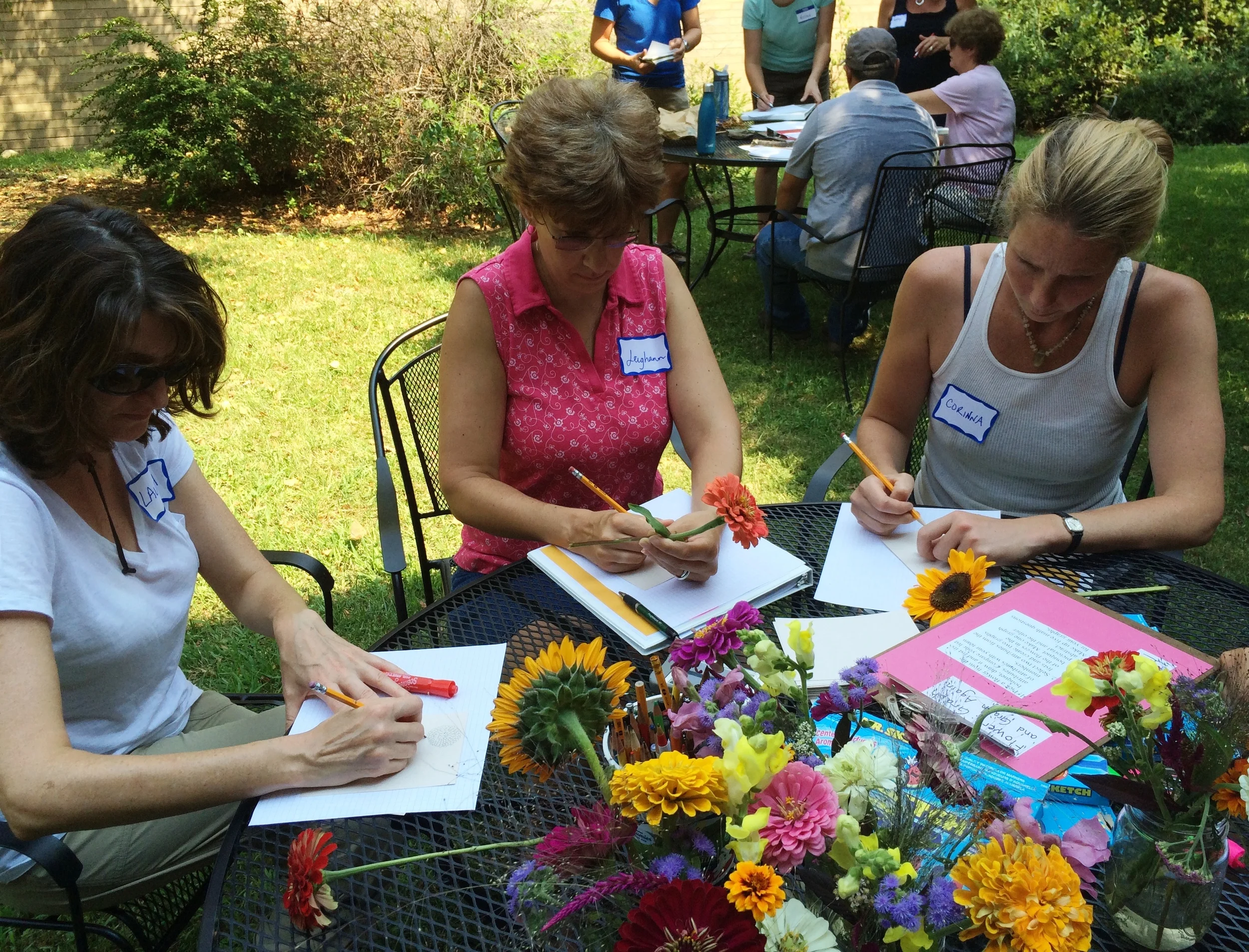 Local teachers practice and refine a math lesson about flower attributes.
