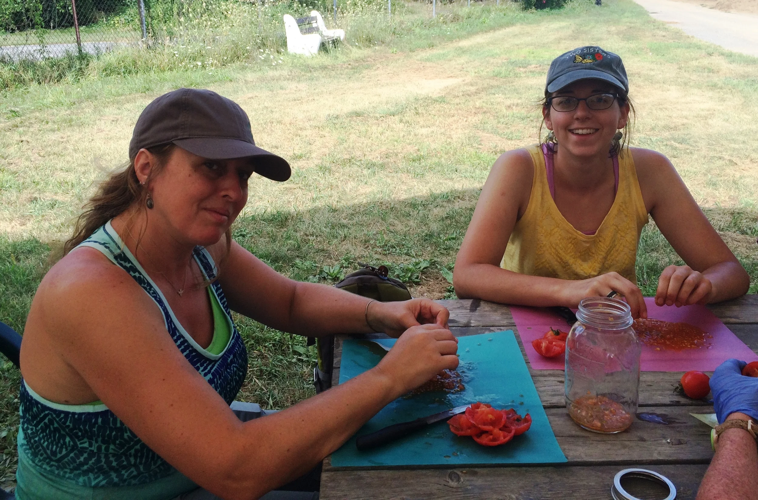Susan Hereth of Hudson Valley Seed and Nicole Cardish of Mill Road Primary Schoo l harvest seeds from Glacier Tomatoes.