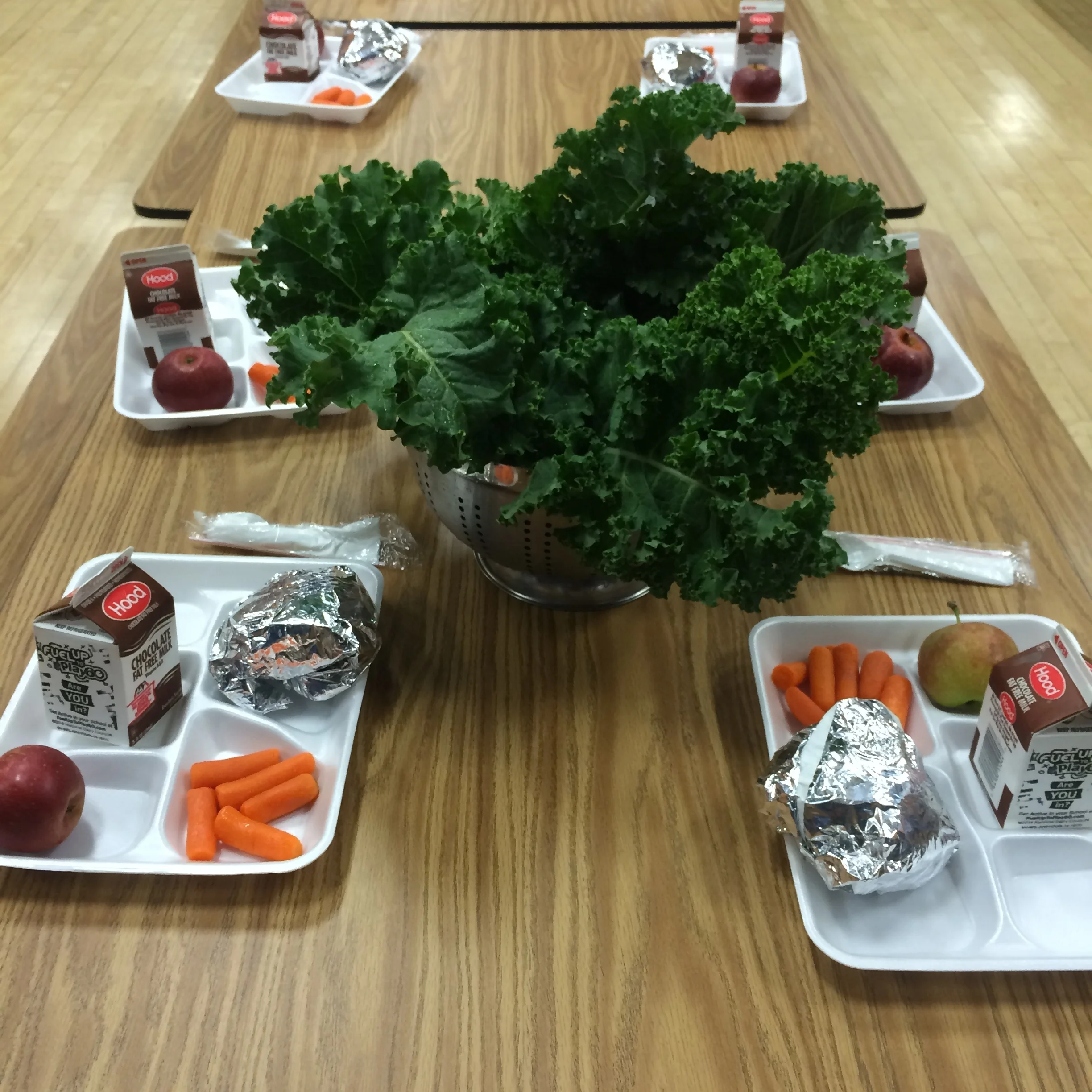 Copy of kale demo.jpg