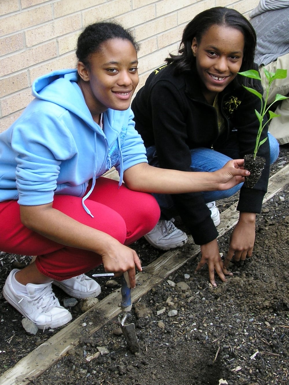 teens_planting_2(1).JPG