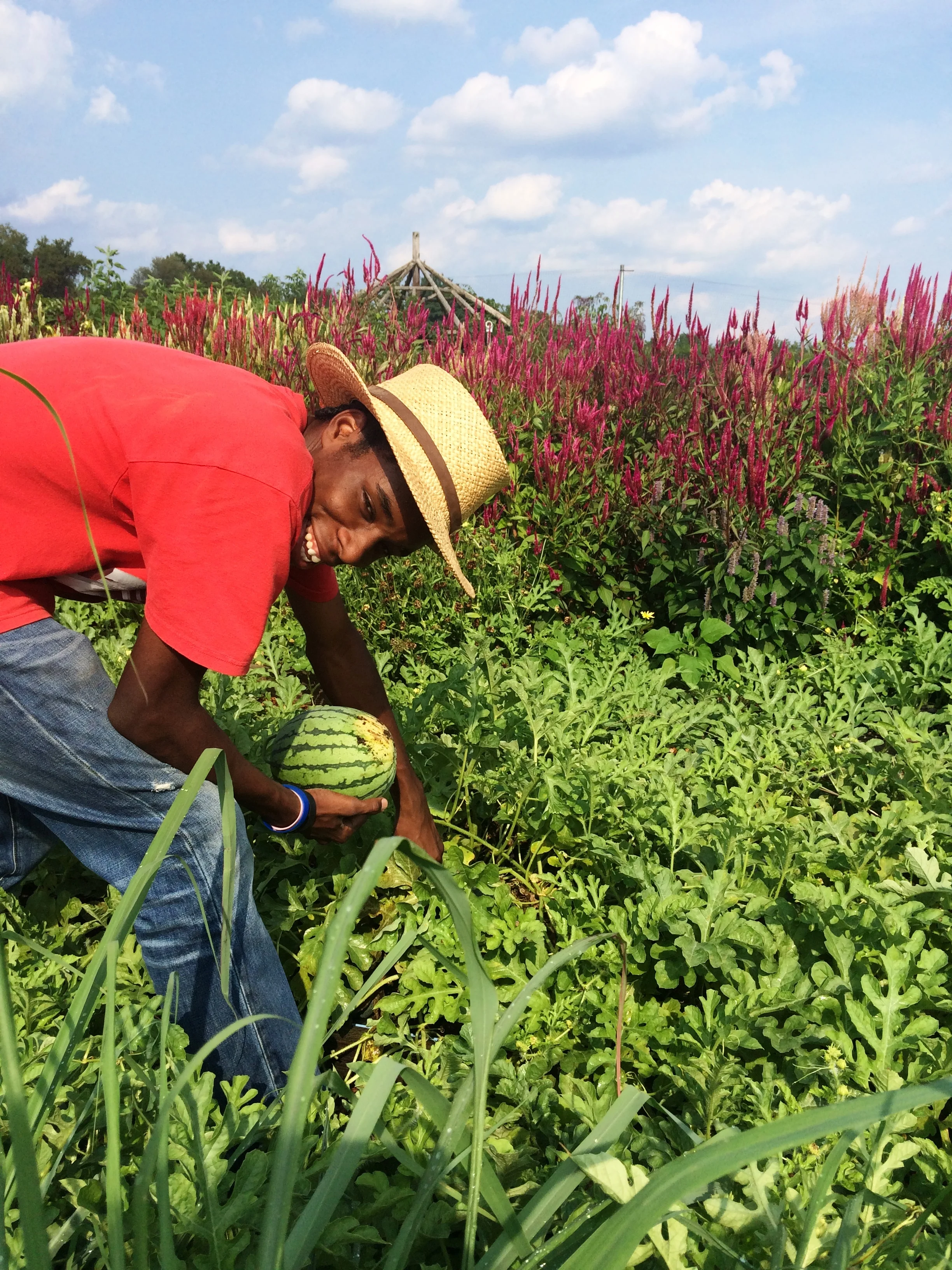 2015 Accomplishment Summary