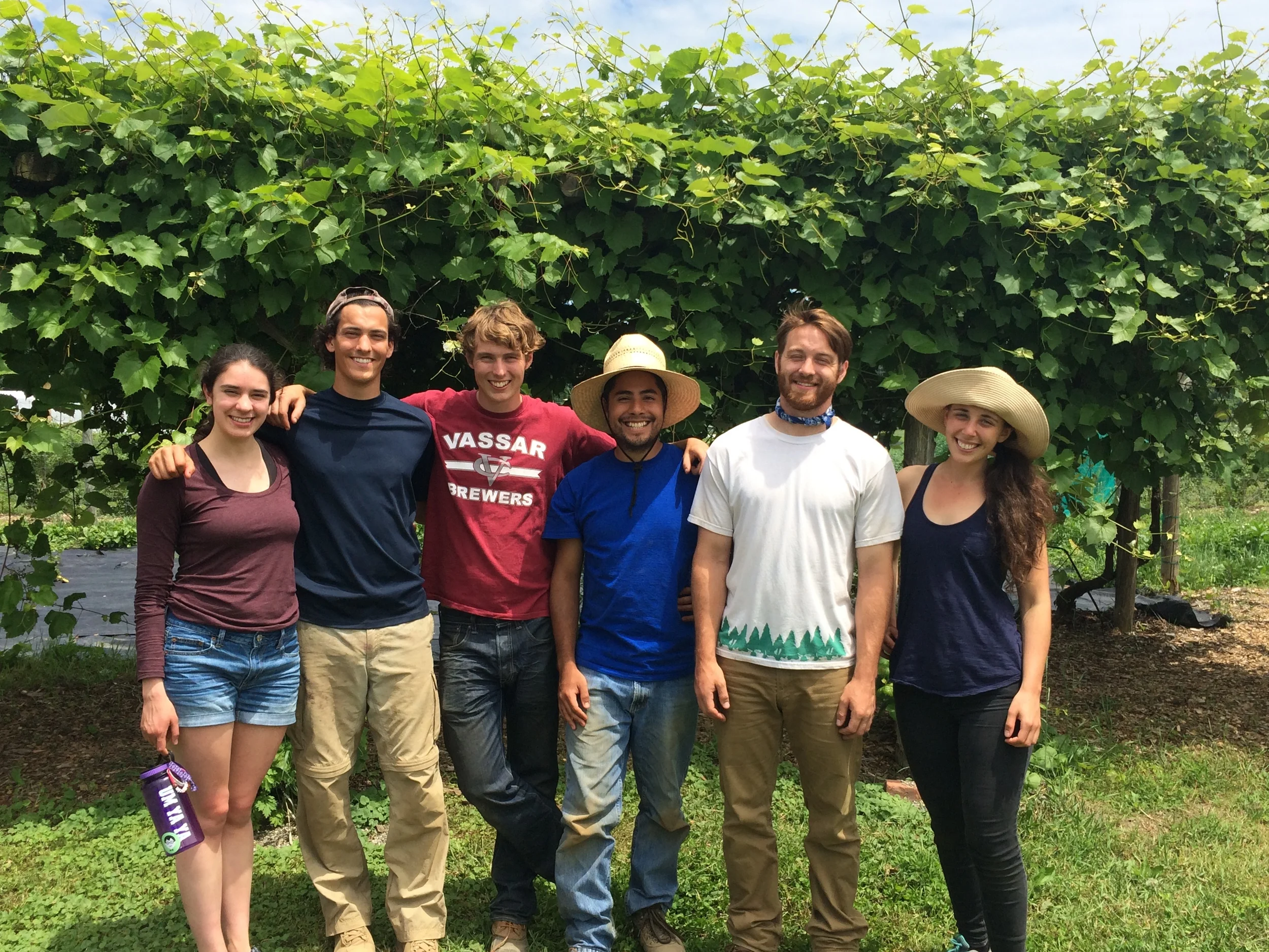 Meet Our Summer Interns! 