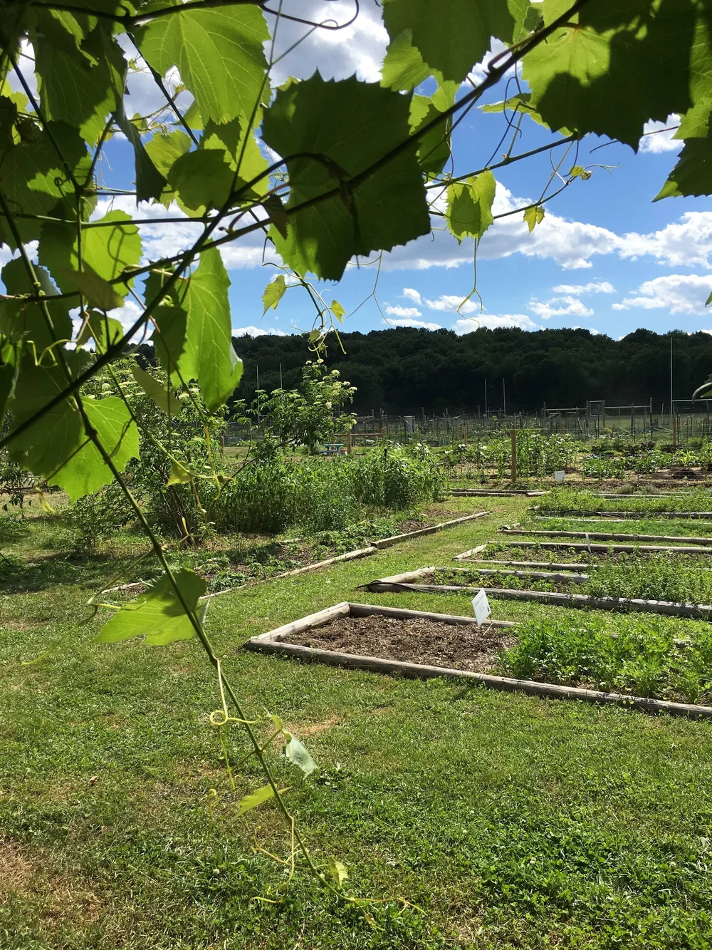 Meditation Garden — Poughkeepsie Farm Project
