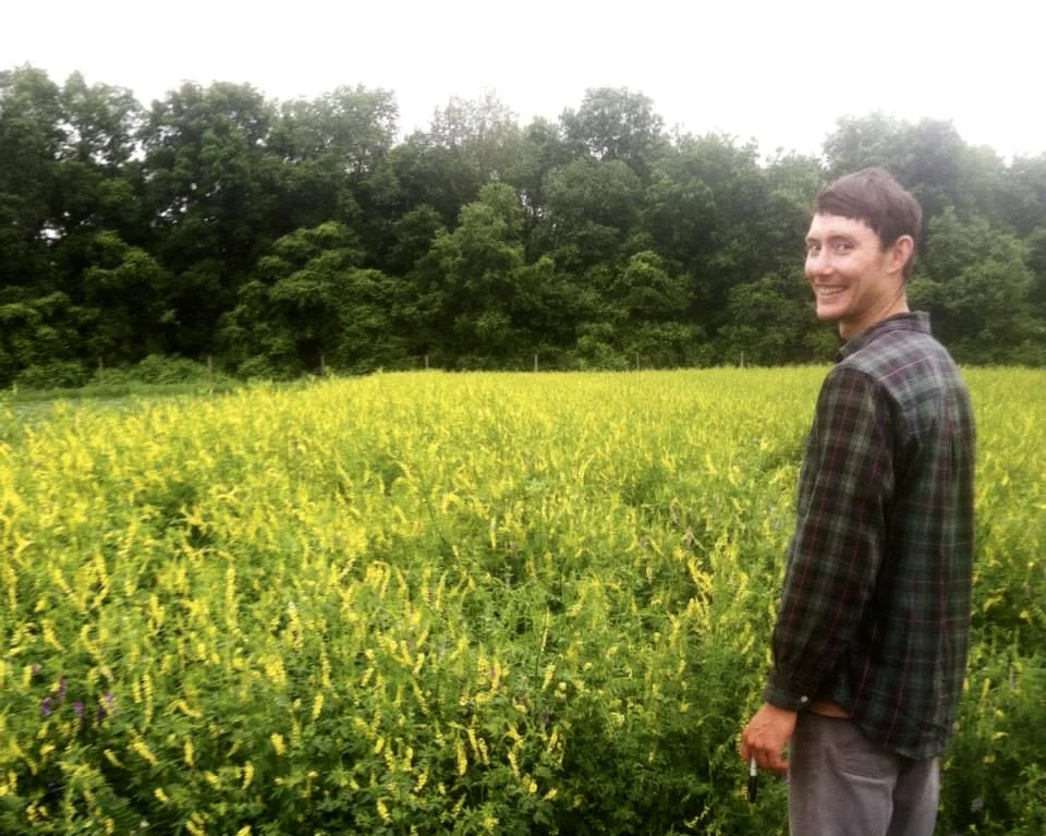 Patrick admires a healthy stand of sweet yellow clover, which is also adored by bees.