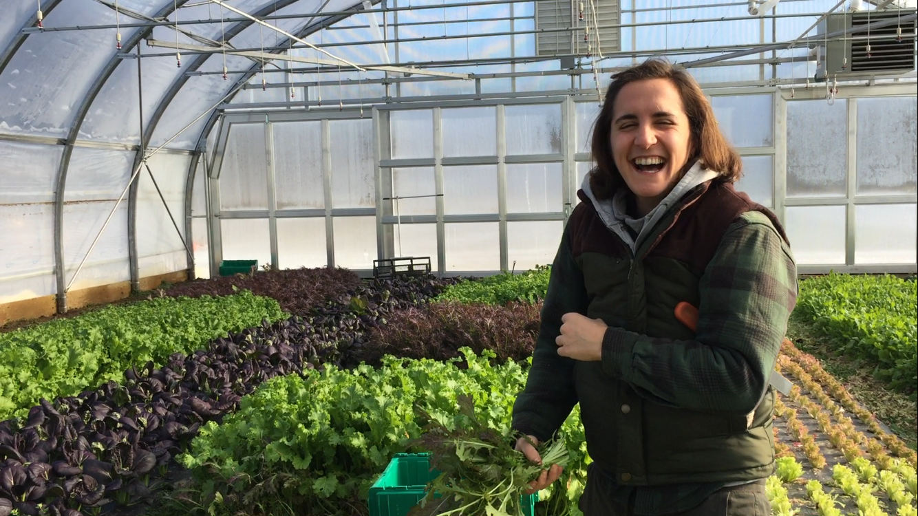 Love is Blossoming at the Farm!