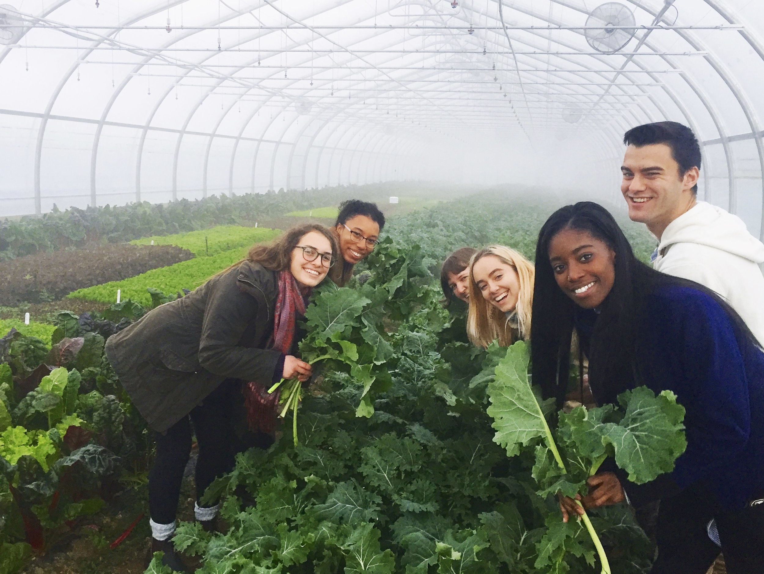 Education Internships — Poughkeepsie Farm Project