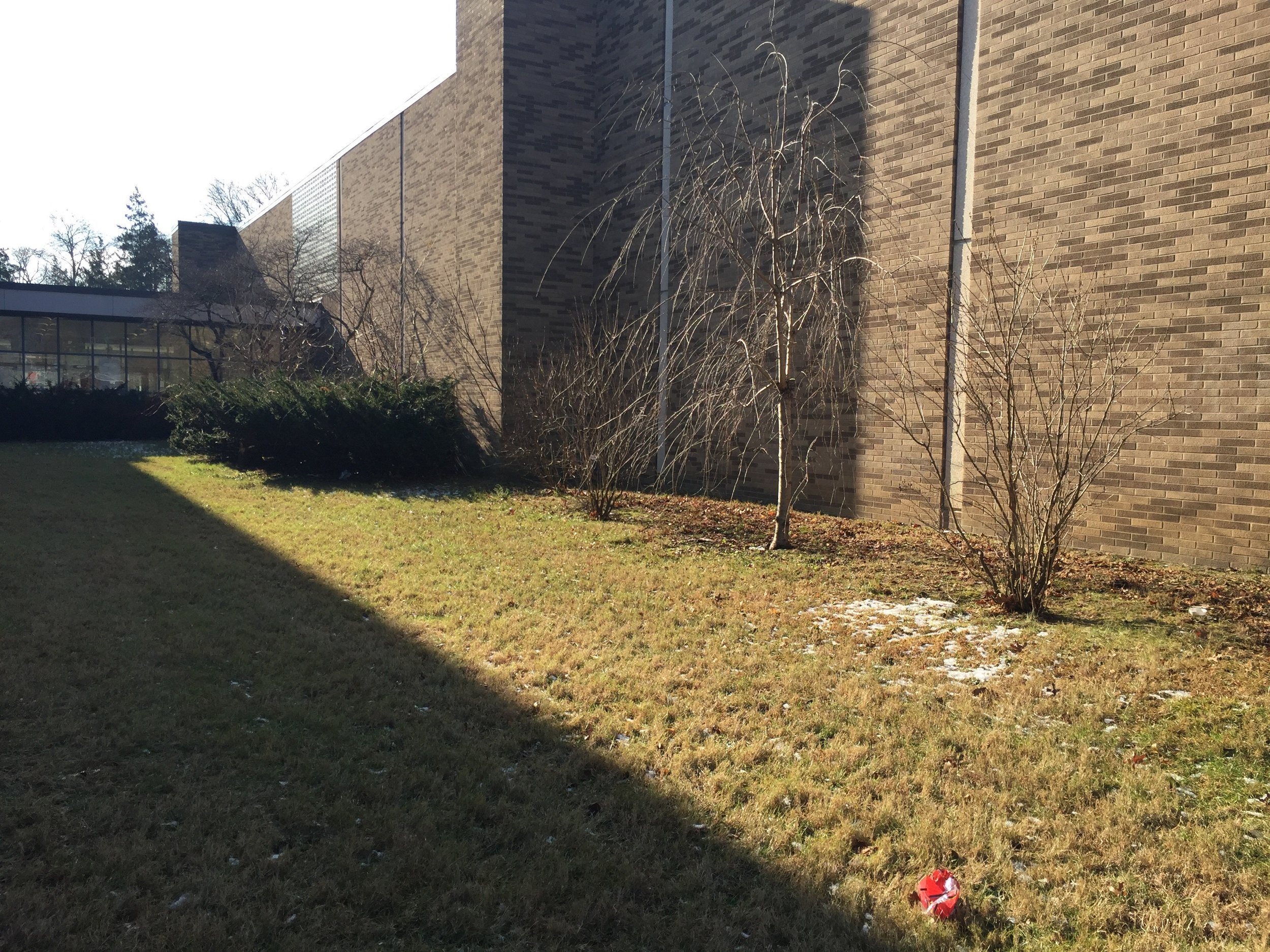 Poughkeepsie Middle School Garden space.JPG