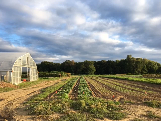 Grower's Row: September