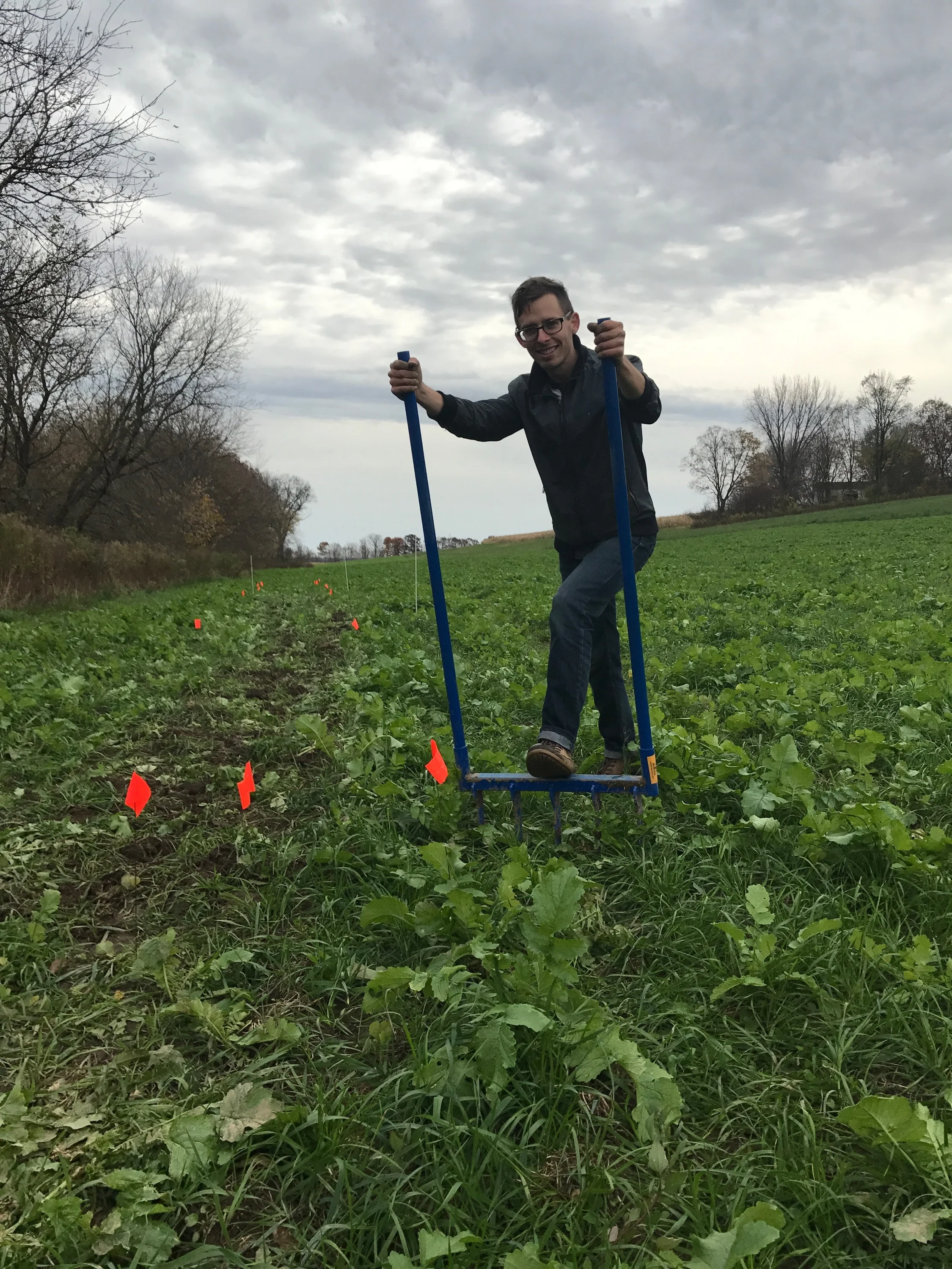 Growers Row Nov 2017 2.jpeg