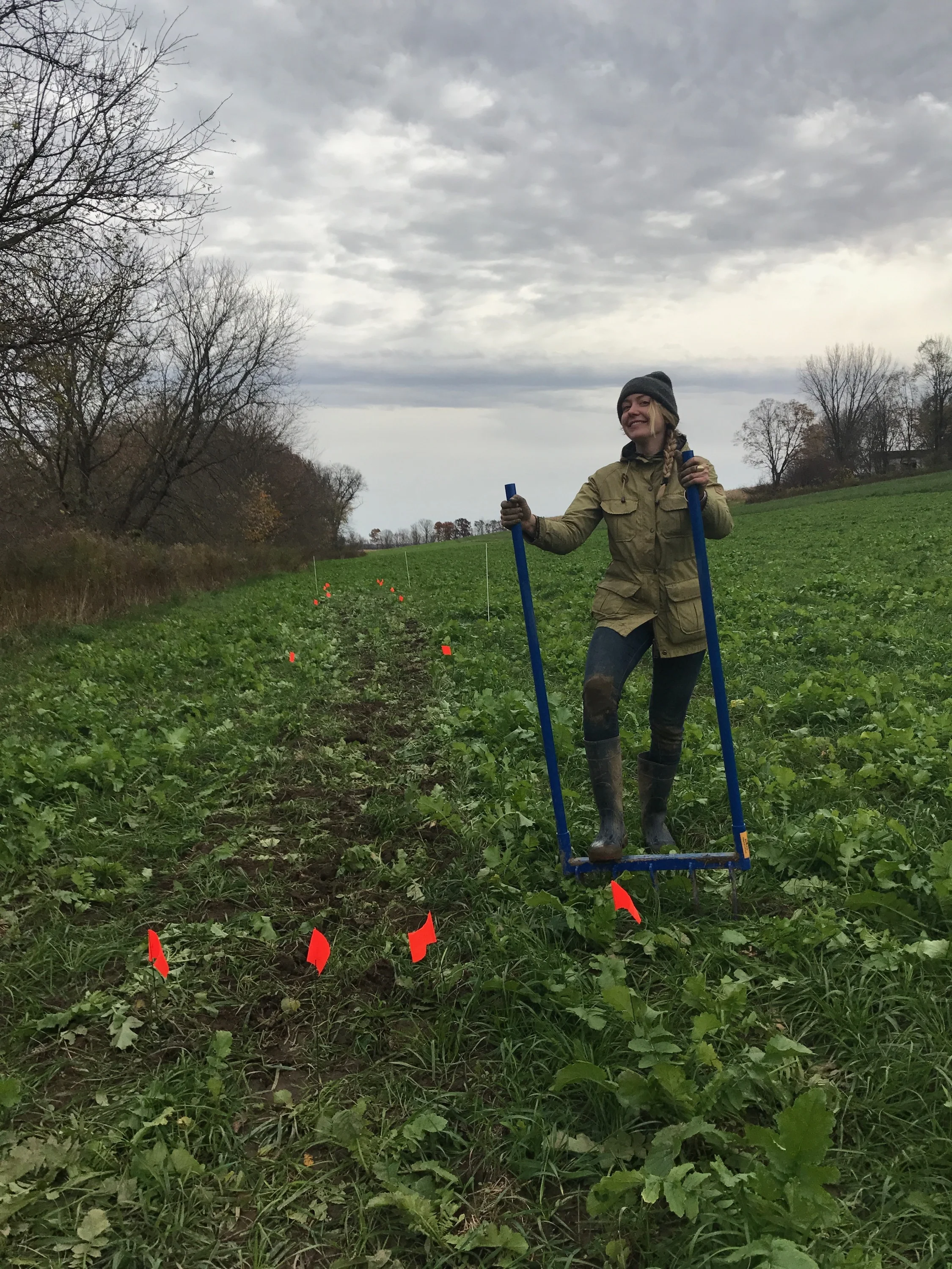 Growers Row Nov 2017 3.jpeg