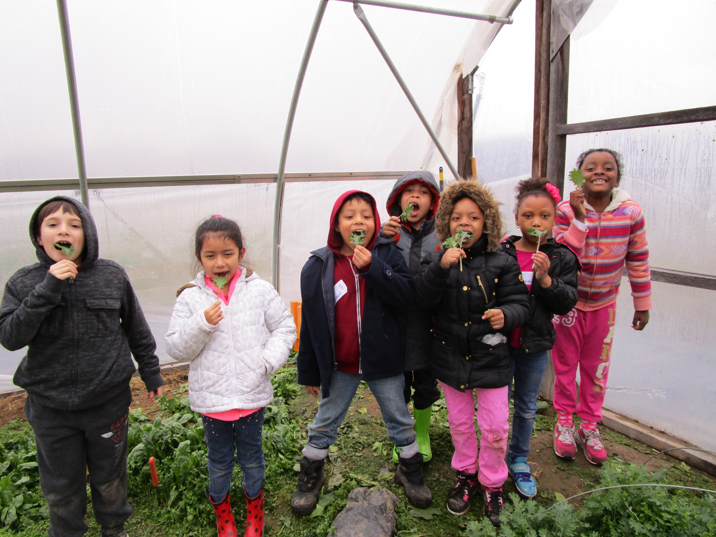 kids kale tunnel.JPG