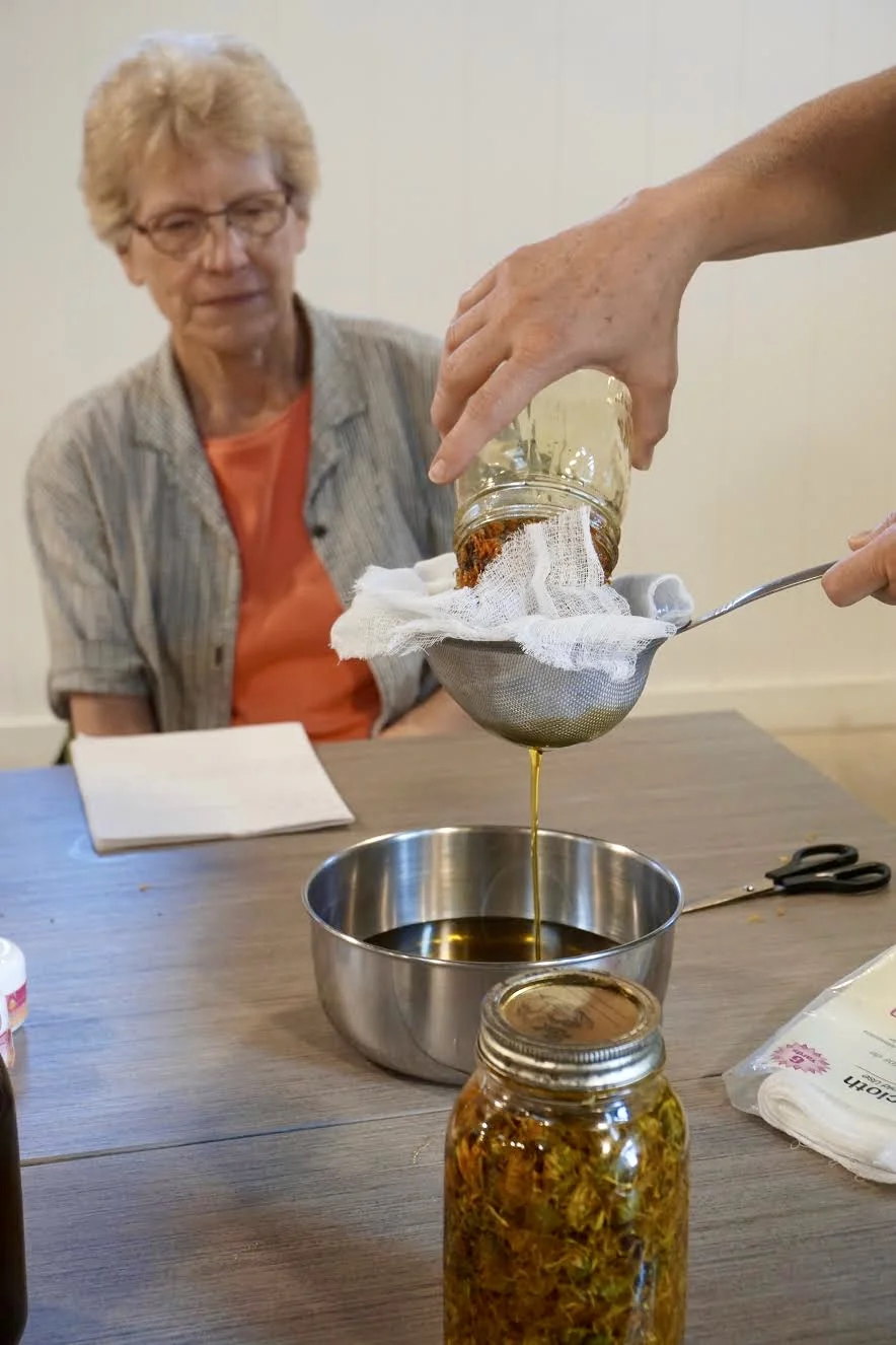 Above: filtering the calendula flowers out of the infused oil in preparation for the salve-making