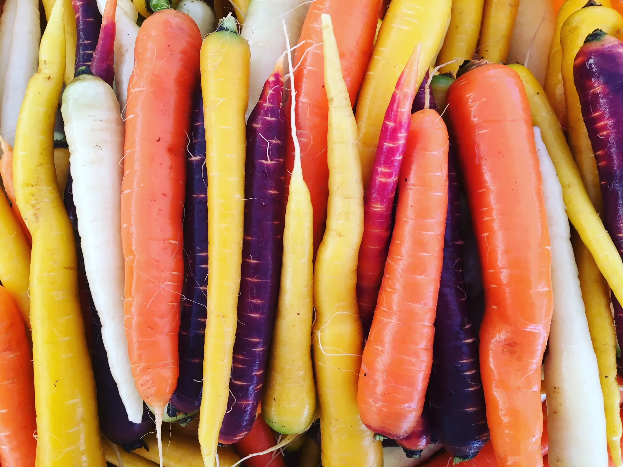 Grower's Row: End of the Year Recap