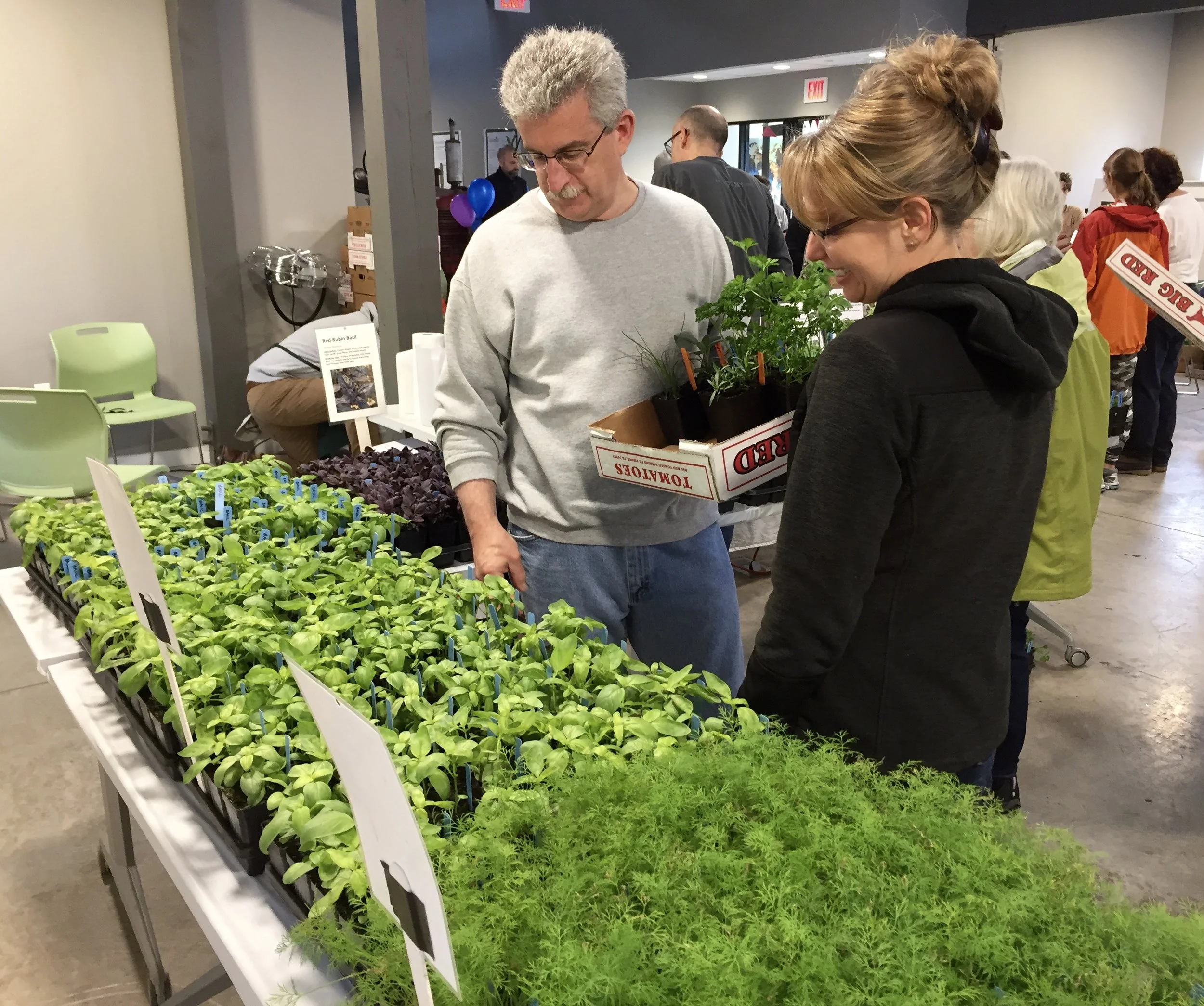 Farm Fest and Spring Plant Sale — Poughkeepsie Farm Project