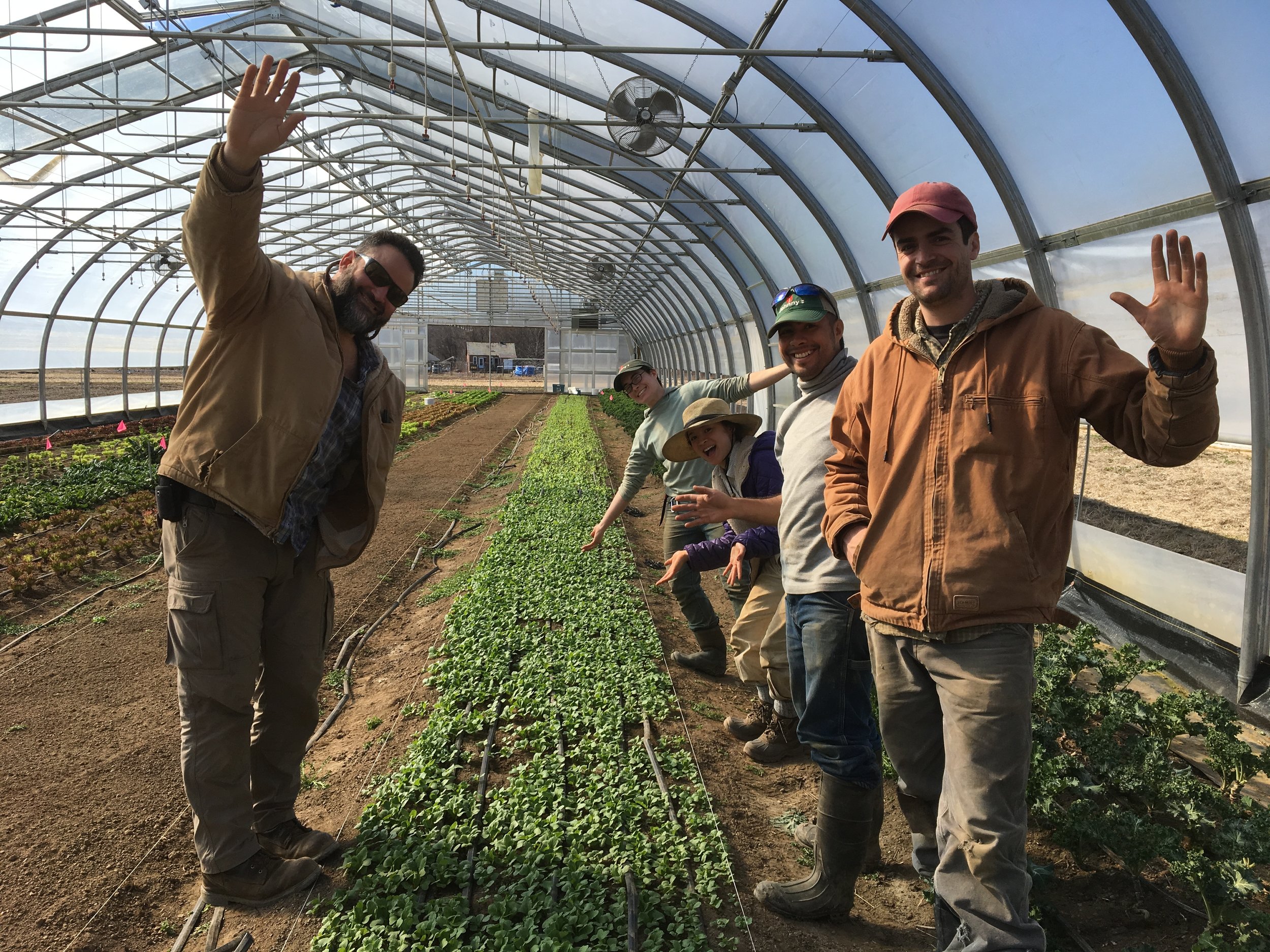 Grower's Row: Welcoming New Helping Hands