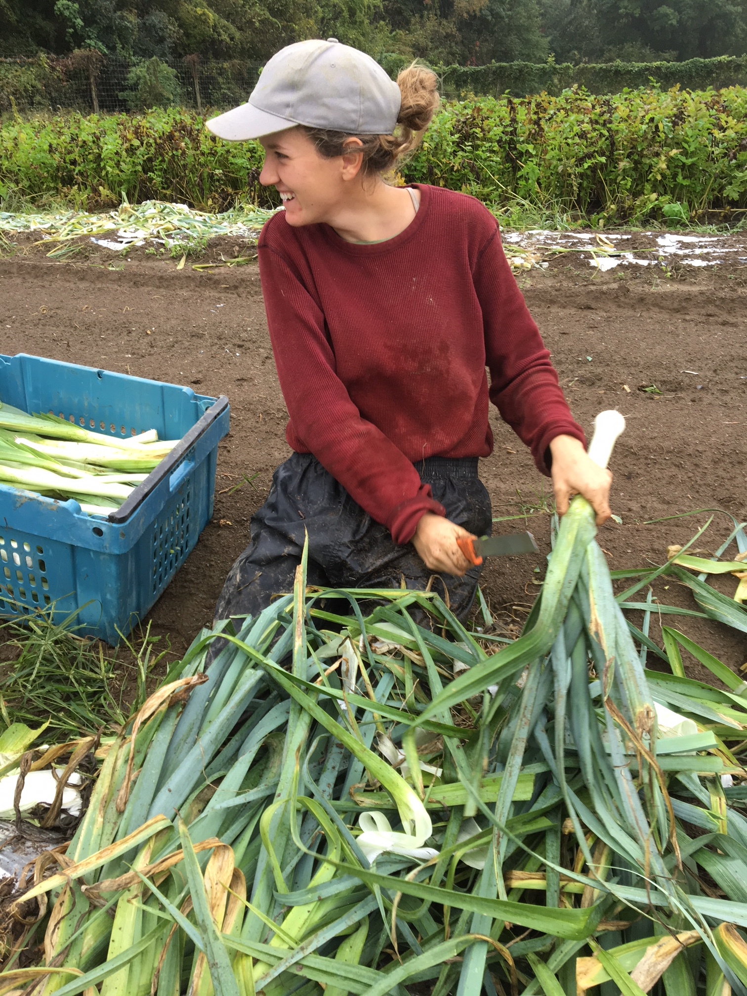 Laura harvesting the last of our leeks