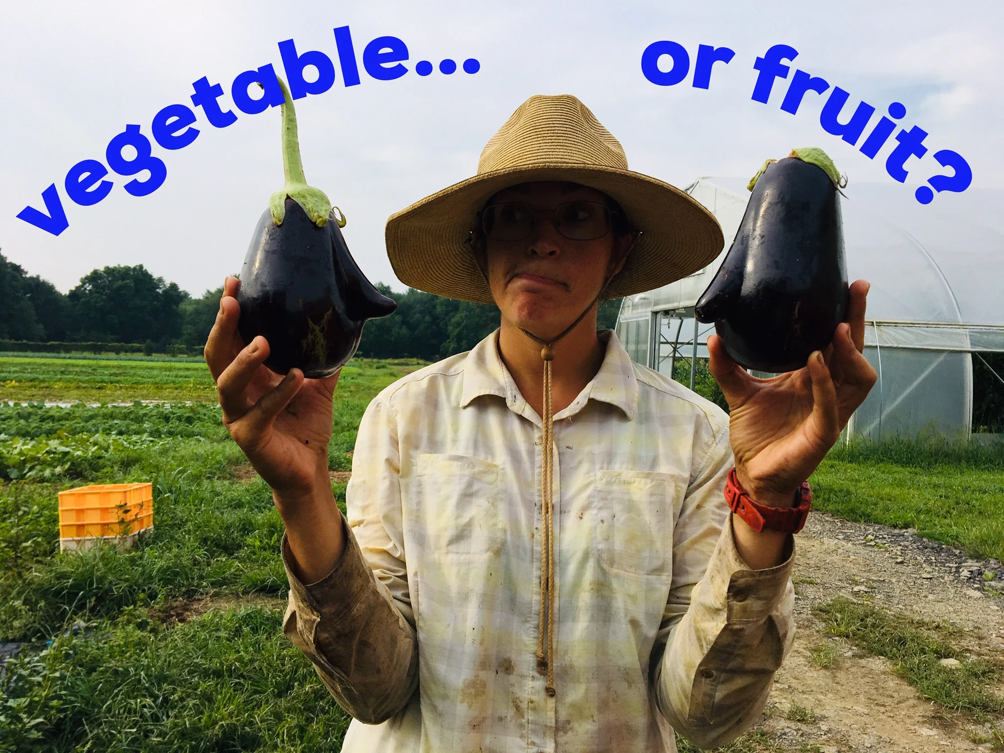 growers row 2.jpg