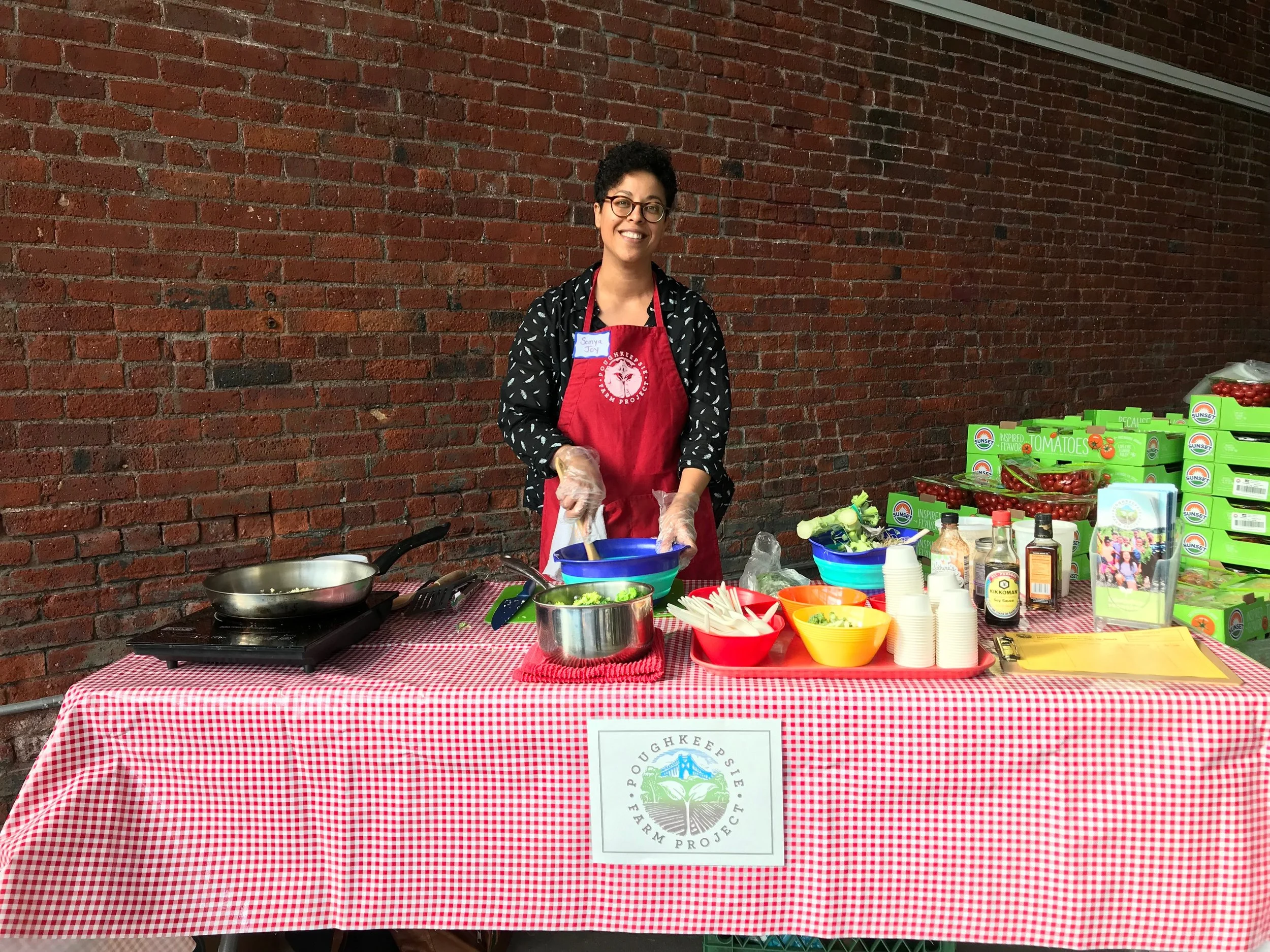 PFP Project Focuses on Environmental Justice Issues in Poughkeepsie