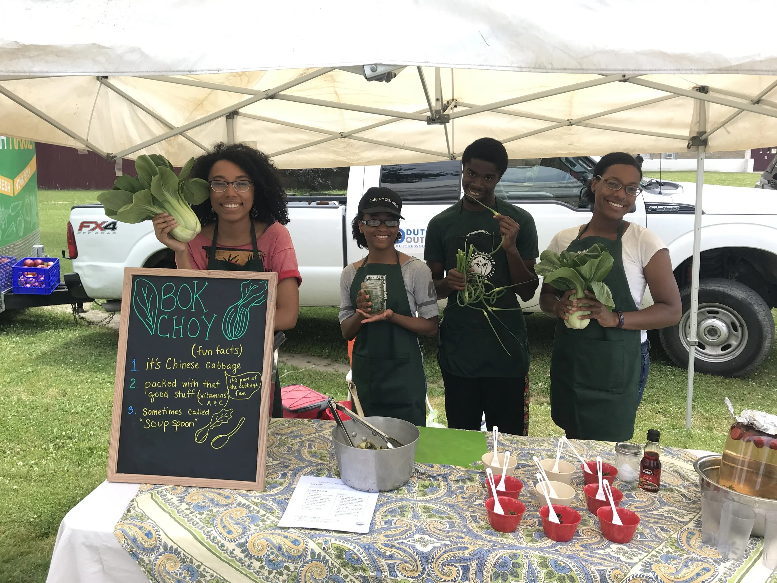 PFP Seeks Green Jobs Interns