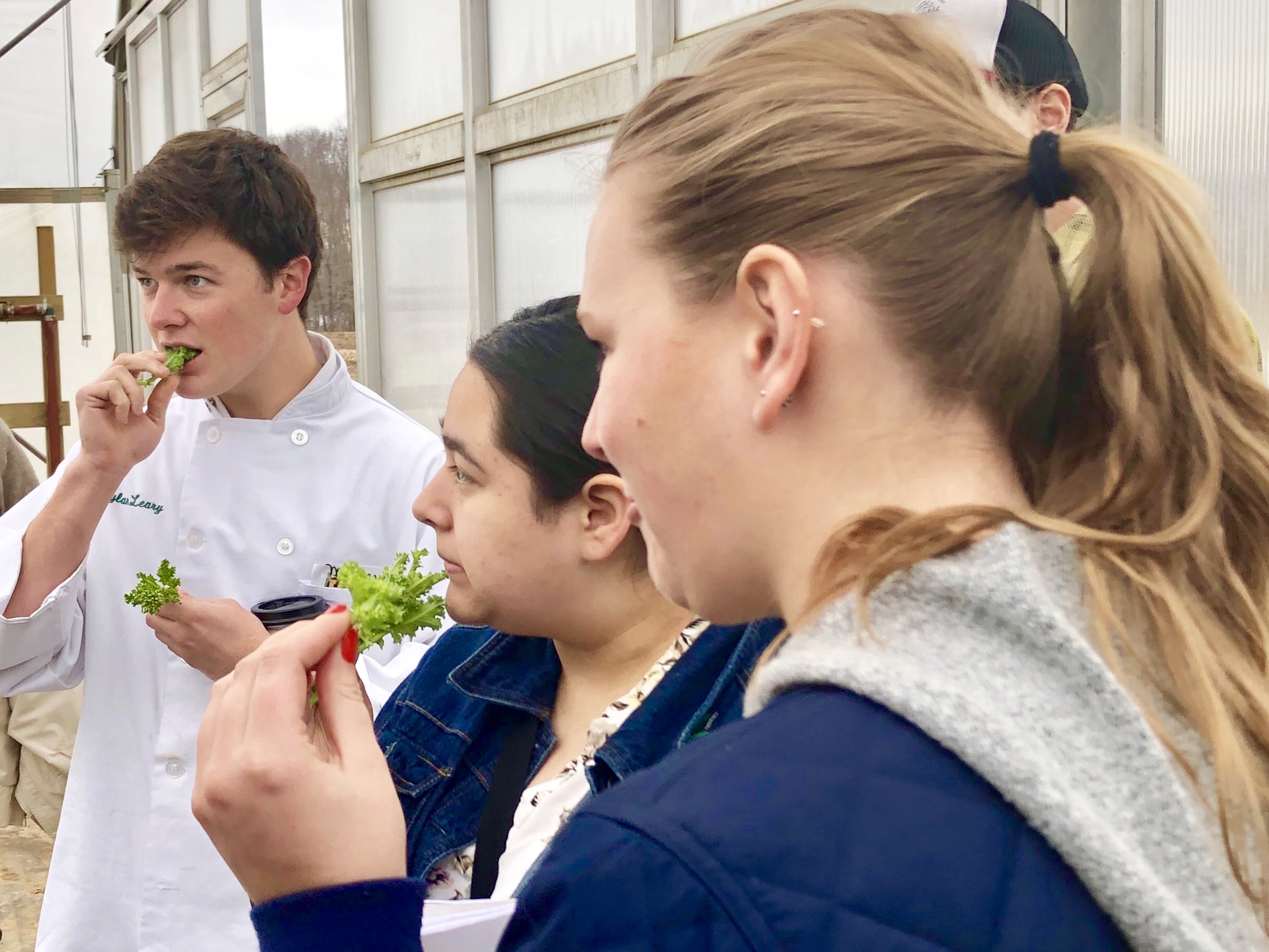 Students and Spinach at PFP.jpg