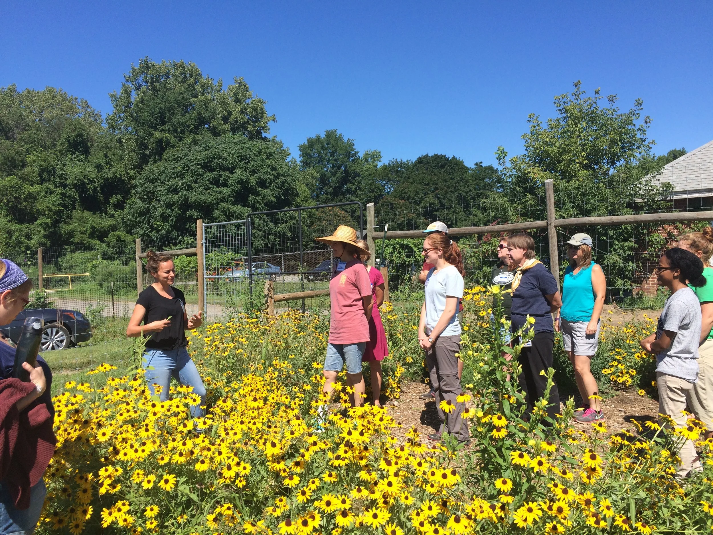Use Gardens to Build Community