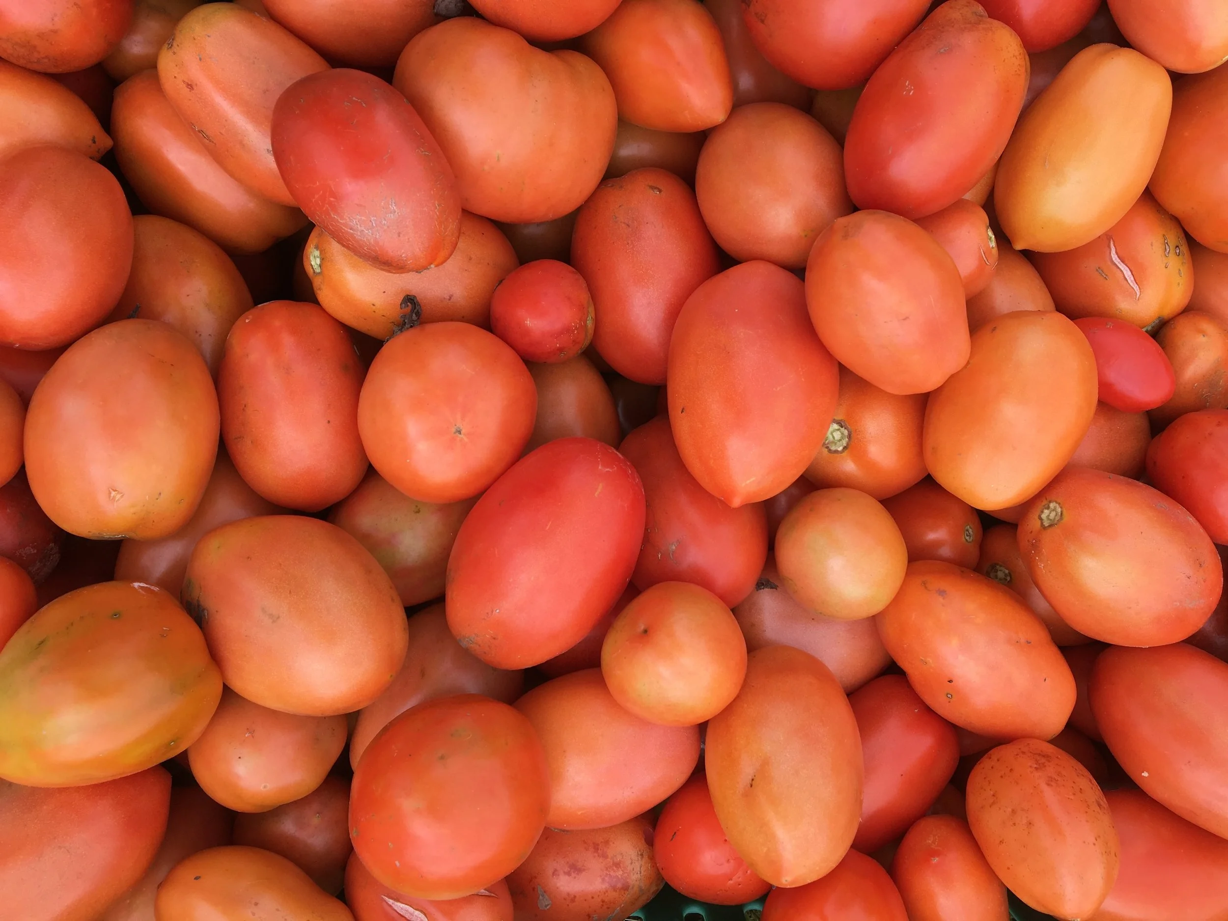 GROWER'S ROW: Grab Your Forks