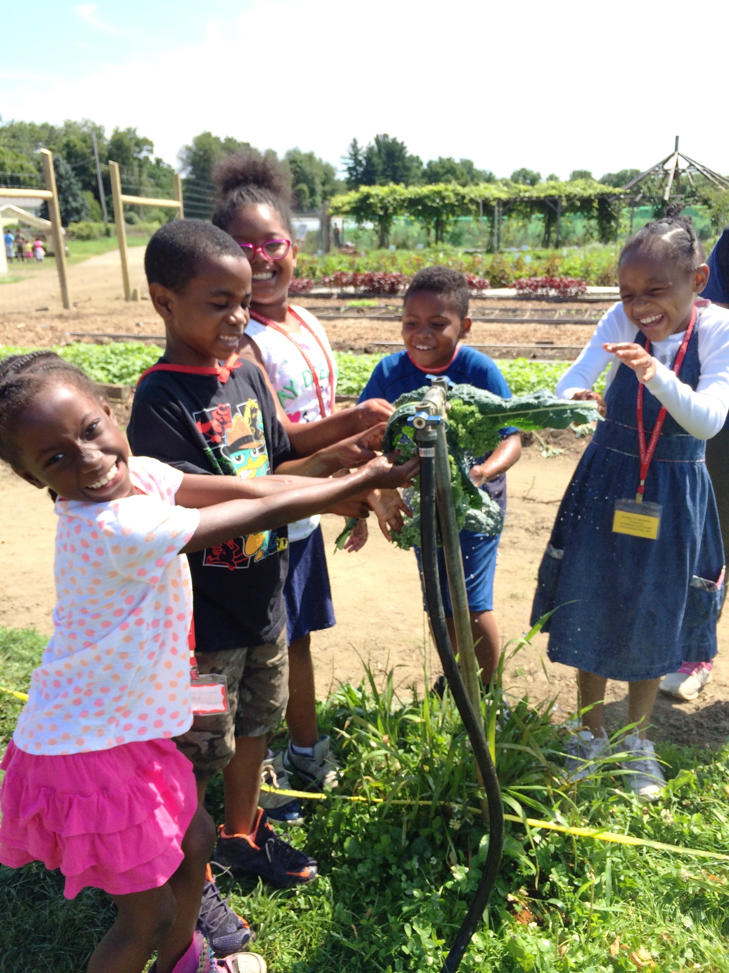 Kids Washing Kale