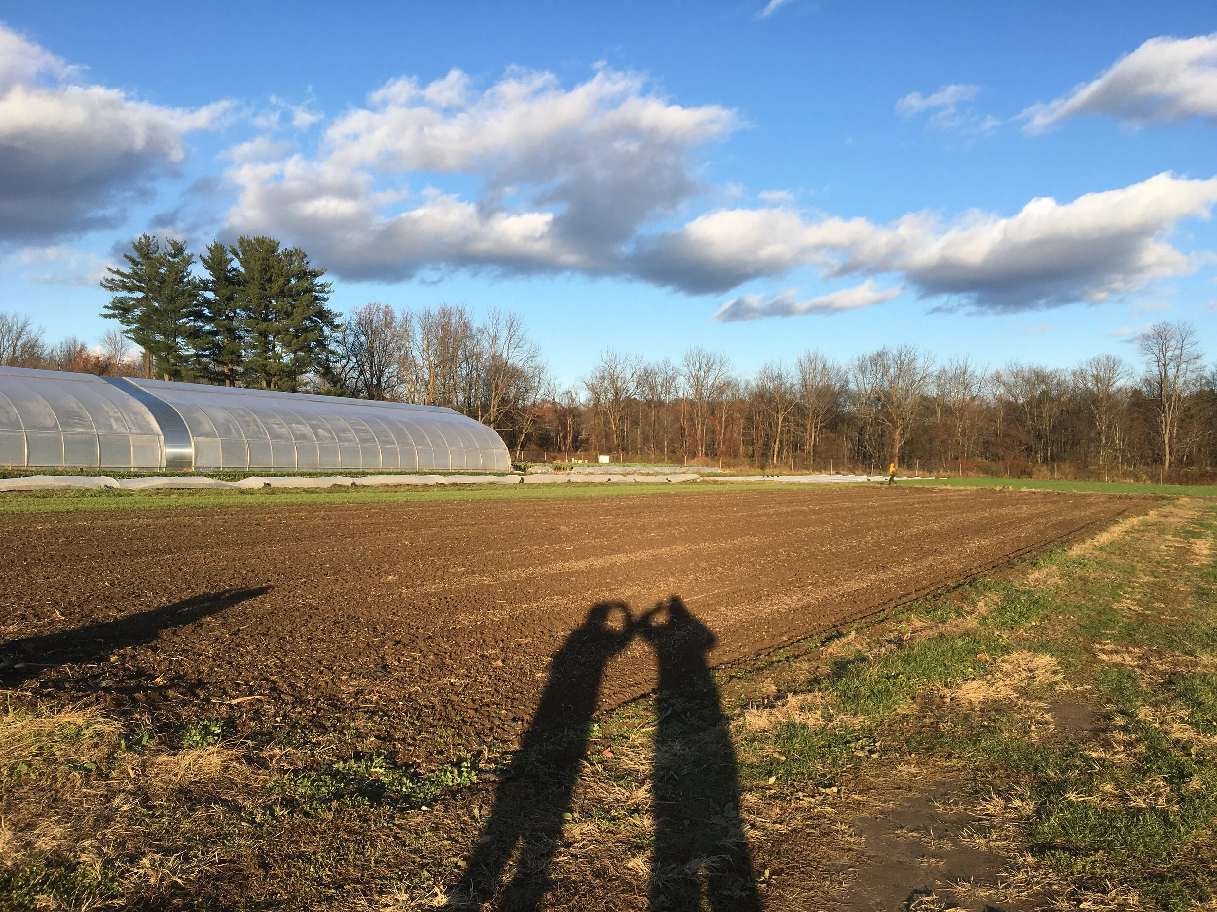 GROWERS ROW: Growing Greens and Gratitude