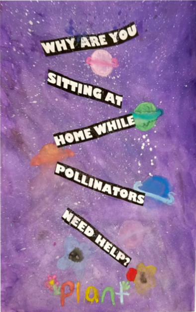 Screen Shot 2020-01-01 at 8.27.43 AM.png