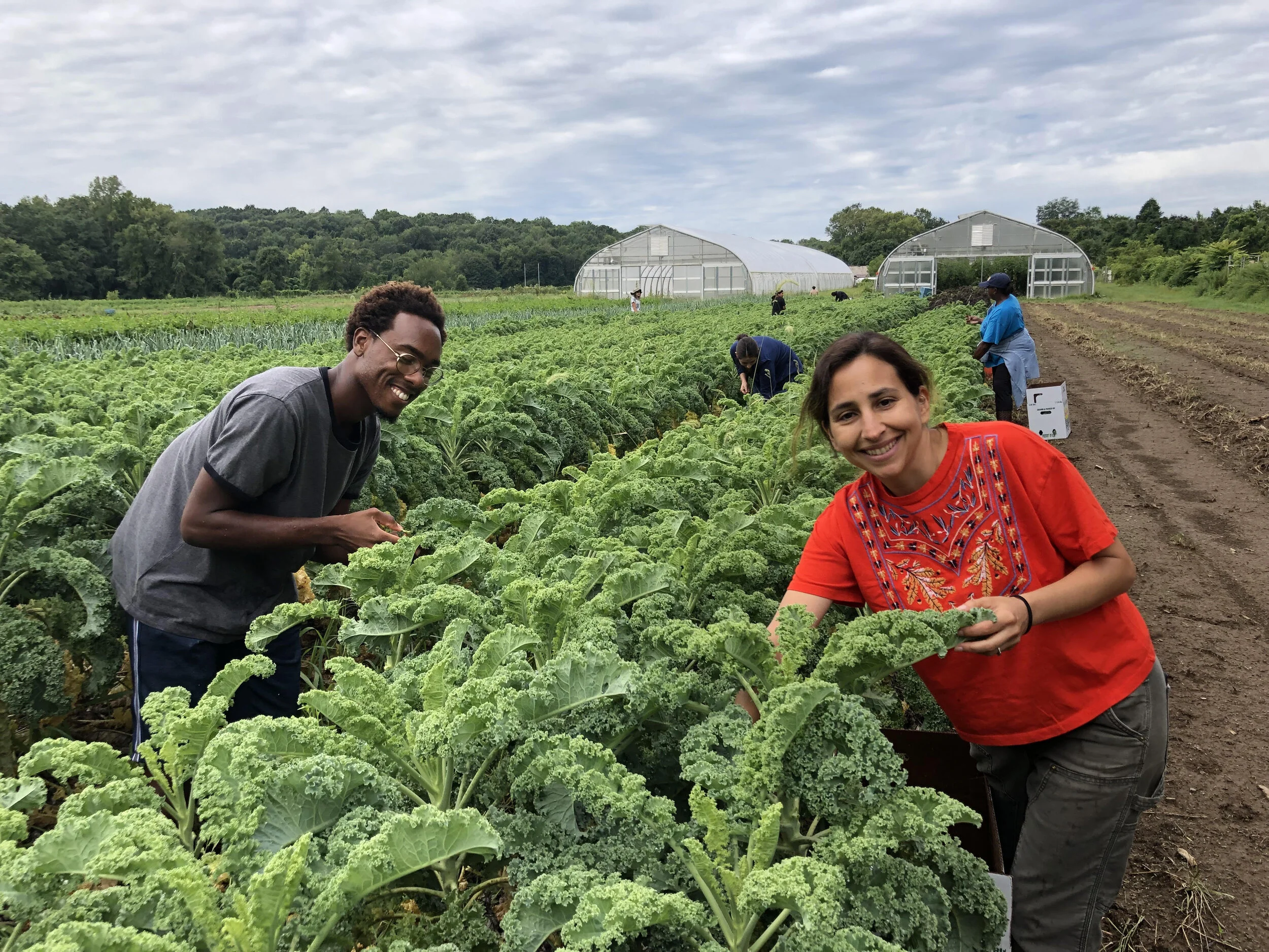 An Educator’s Year in Review, Plans to Grow our Impact in 2020