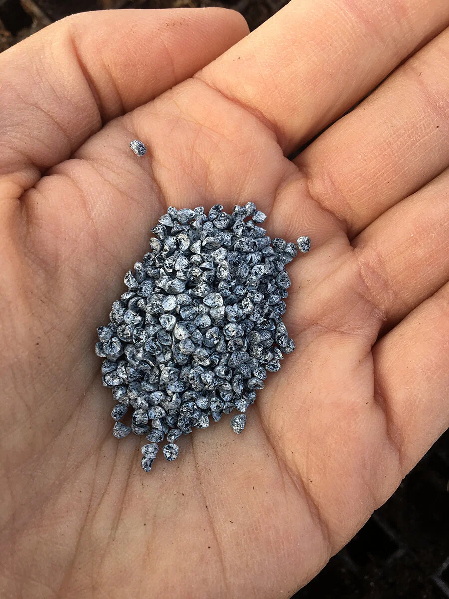 Growers Row: March is When the Magic Happens!