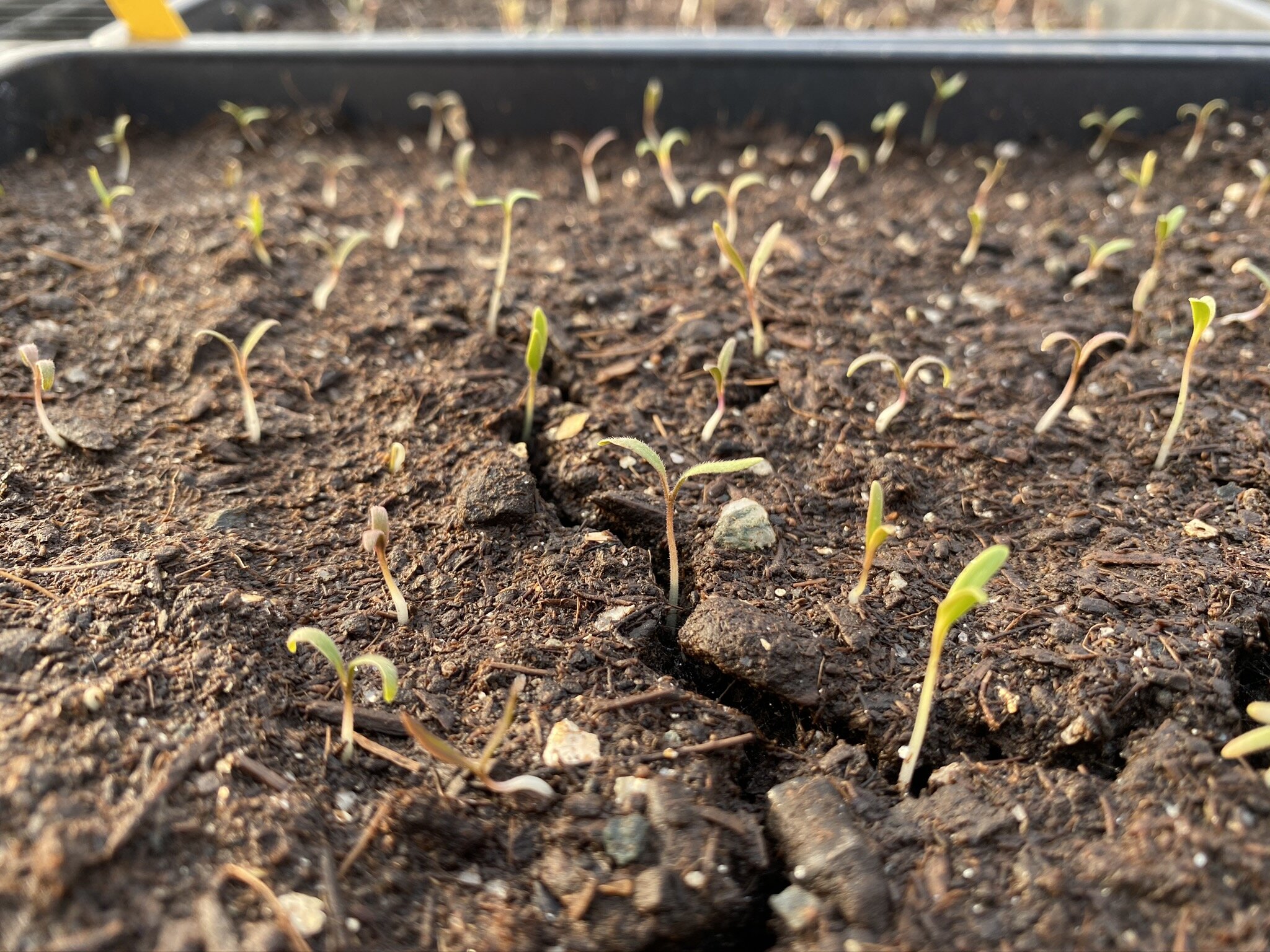 COVID-19 Changes and Resources: What You Need to Know