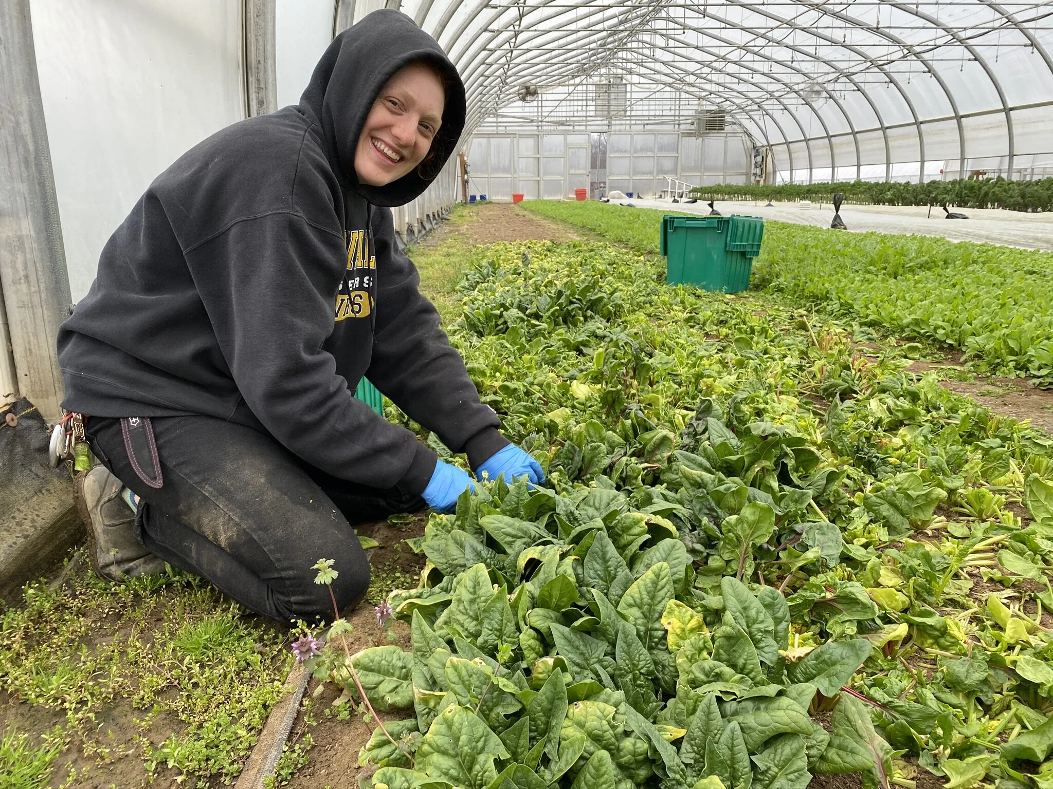 Growers' Row:  April Showers Bring Gloves? and Gratitude