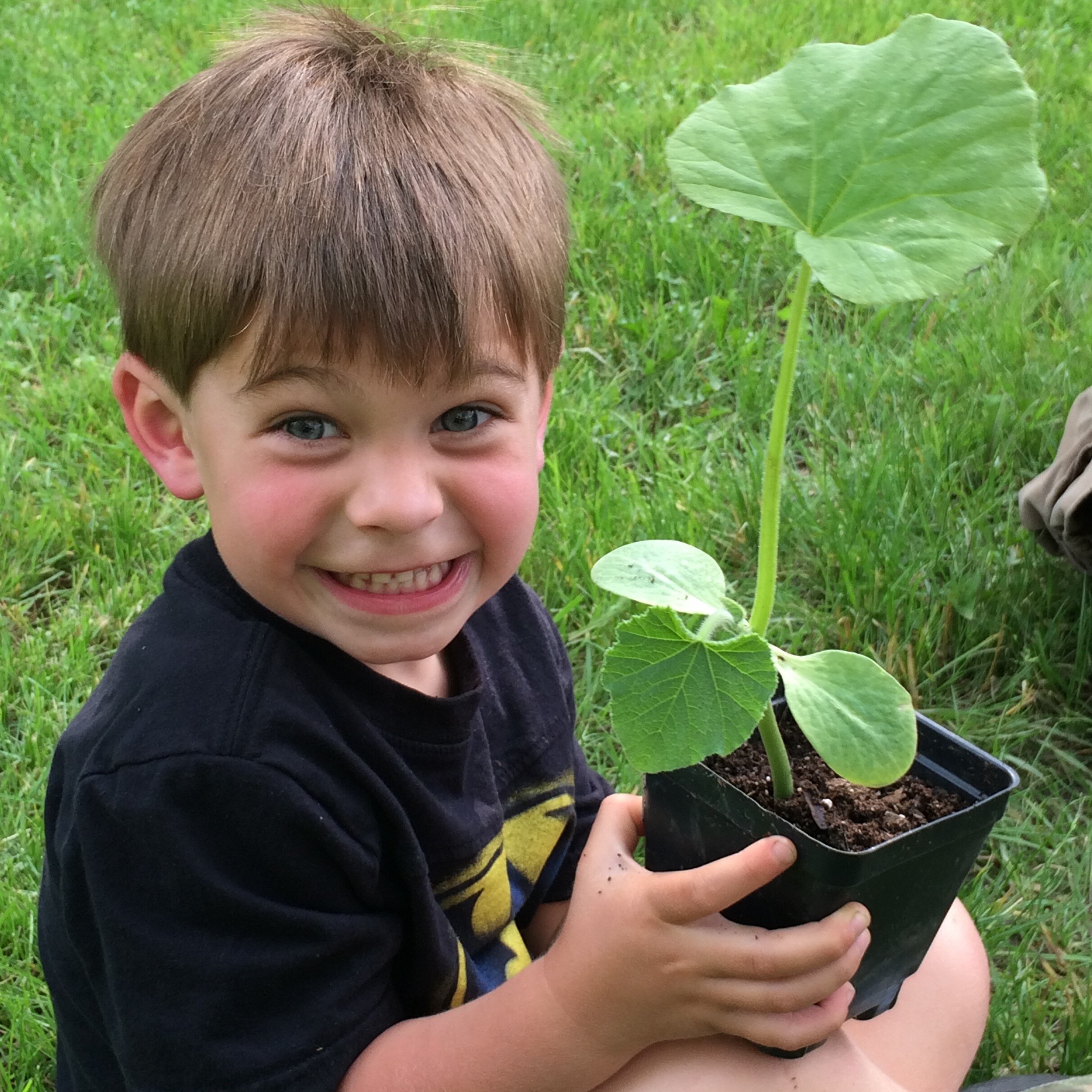 Planting a seedling.jpg