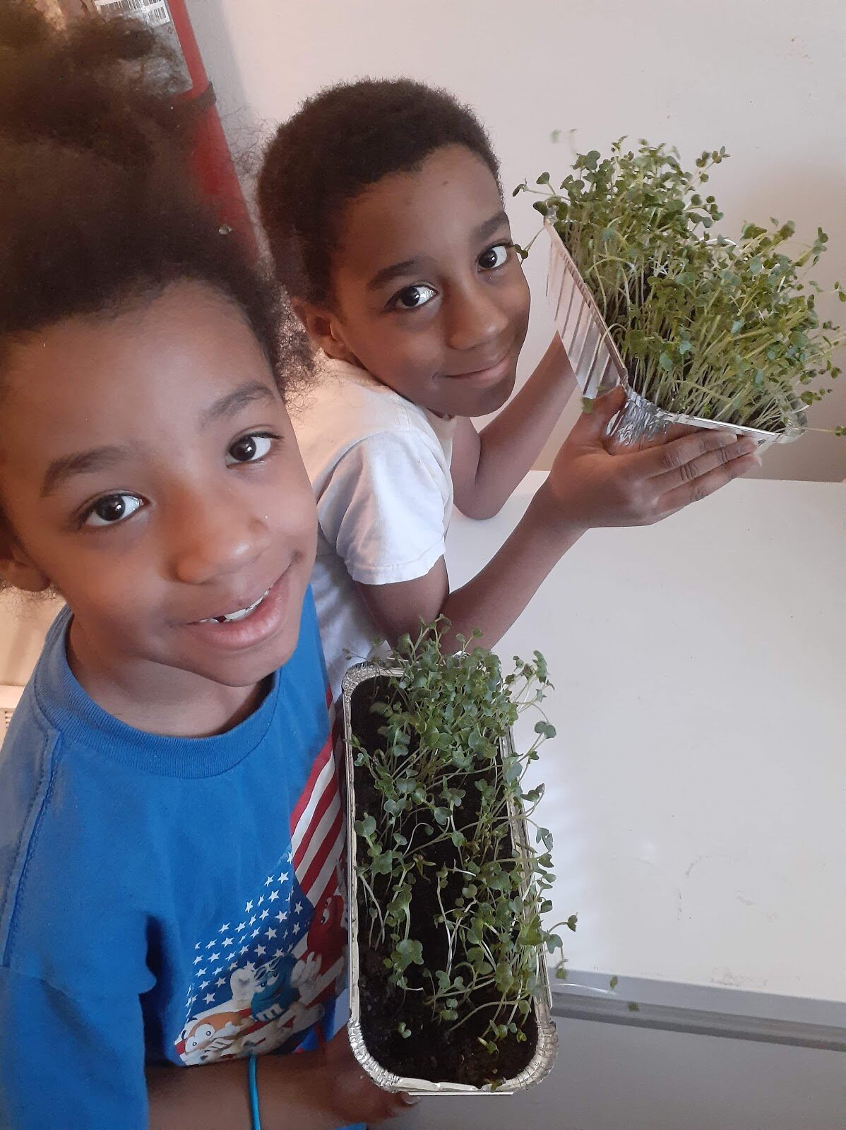 Two student ready to harvest their microgreens 