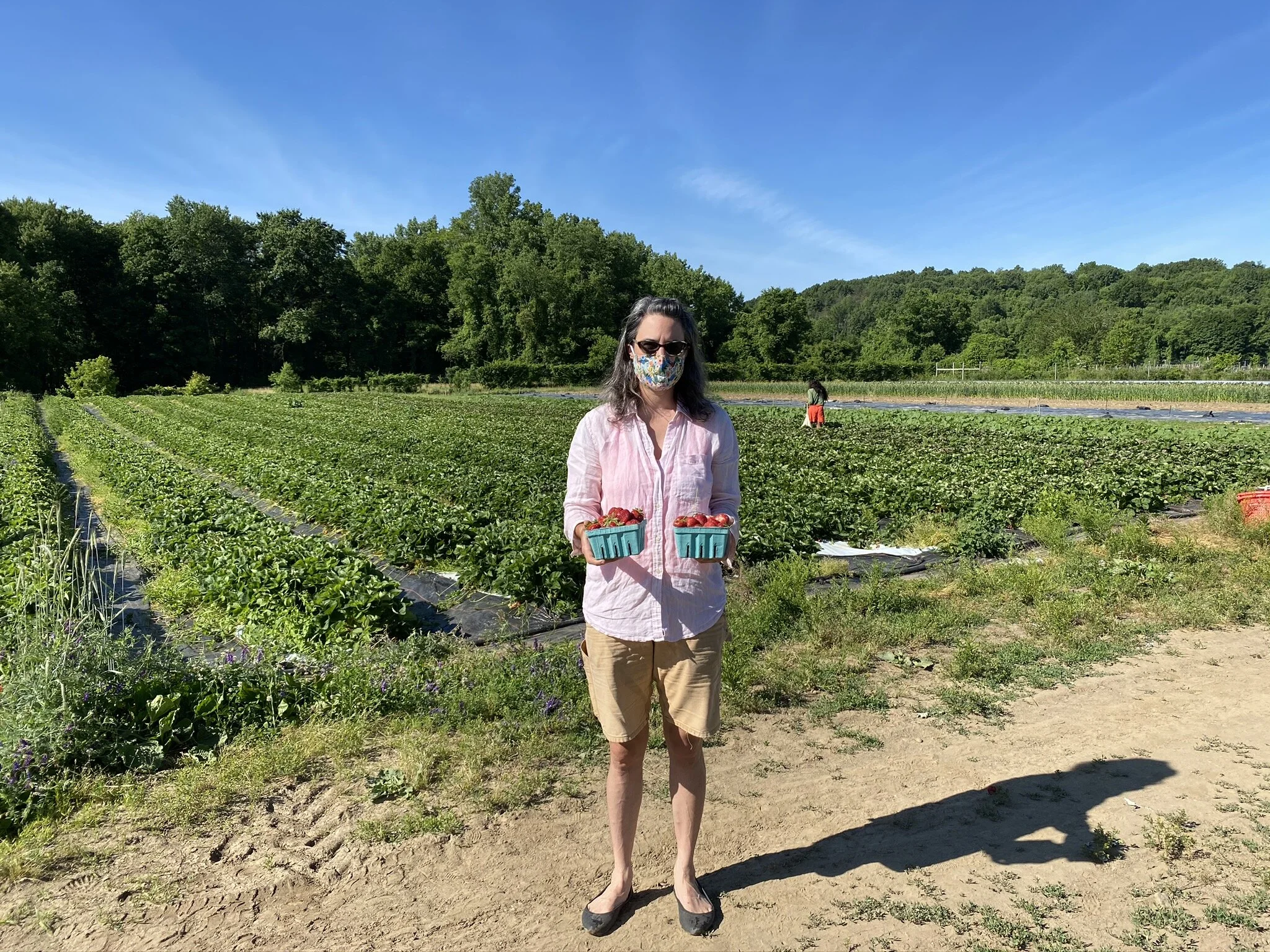 Growers Row:  Hustle and Bustle